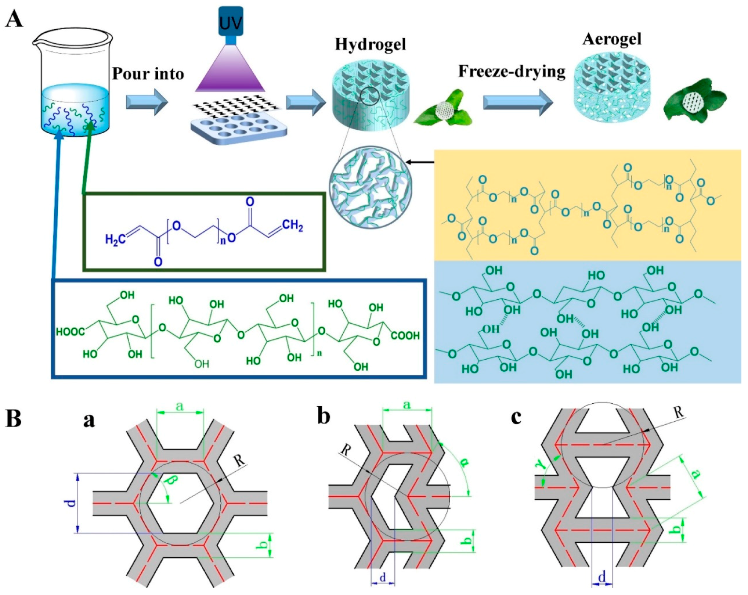 Nanomaterials Free Full Text Nanocellulose Pegda Aerogels With Tunable Poisson S Ratio Fabricated By Stereolithography For Mouse Bone Marrow Mesenchymal Stem Cell Culture Html