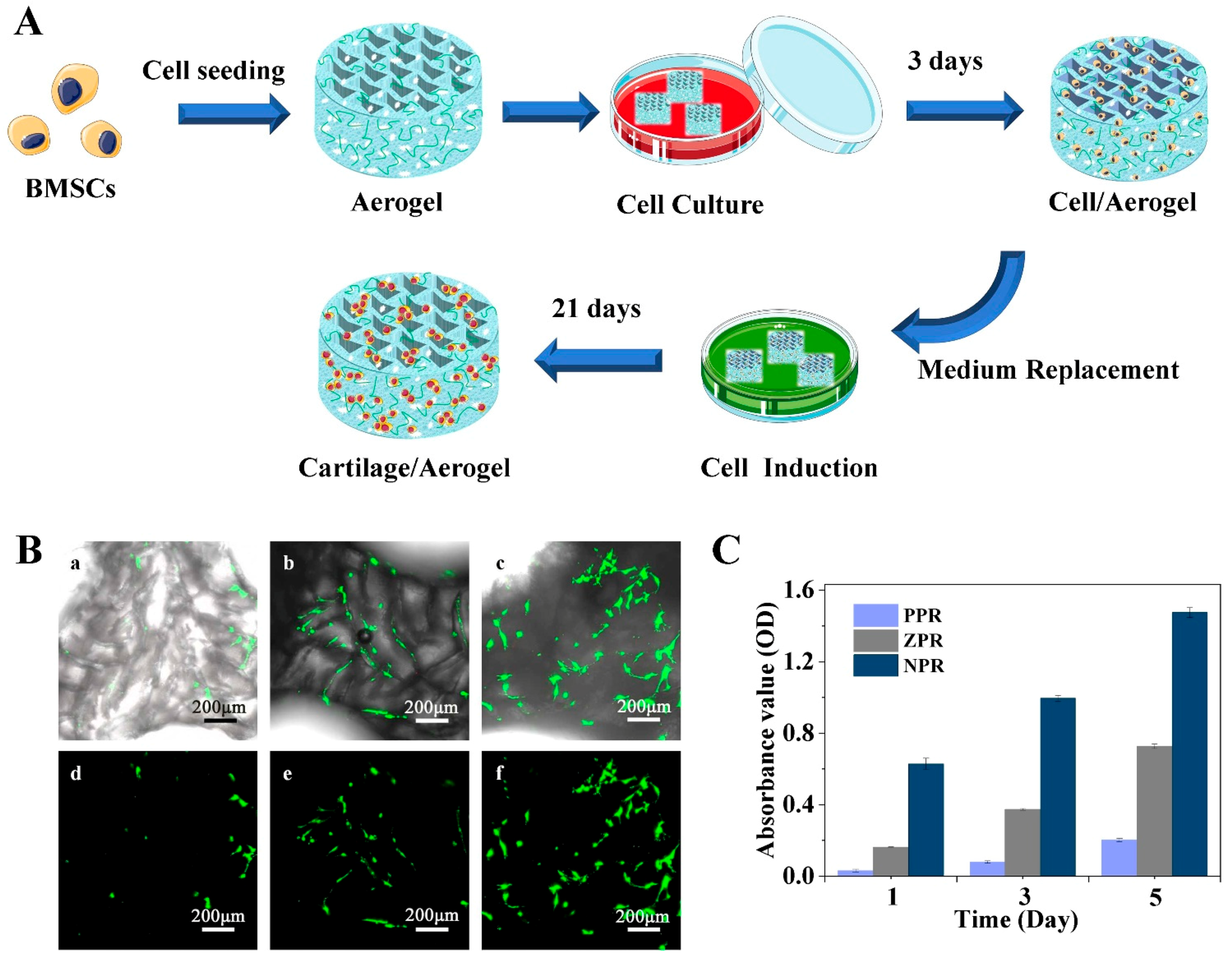 Nanomaterials 11 00603 g005 Nanomaterials 11 00603 g005