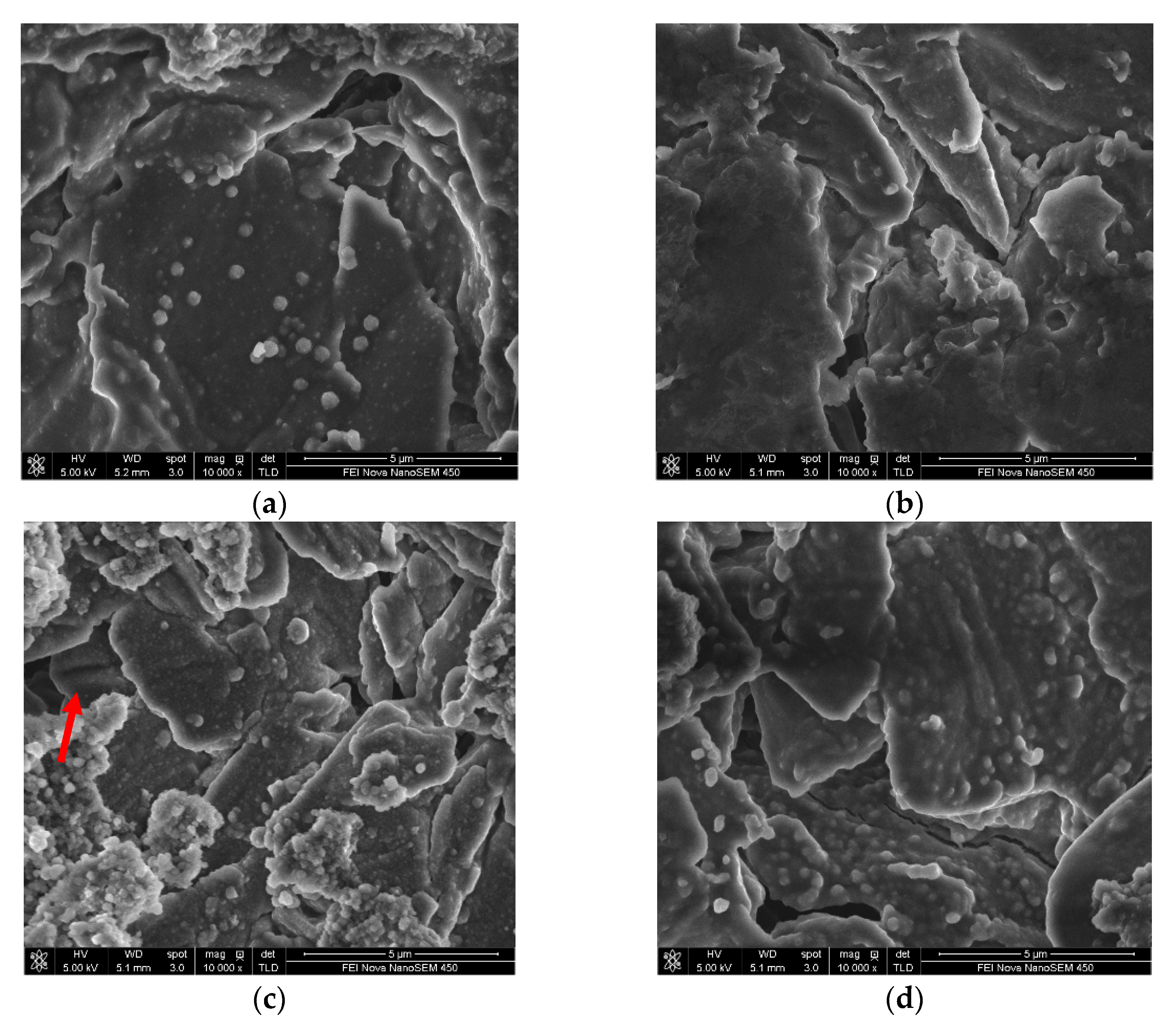 Nanomaterials 11 00609 g013