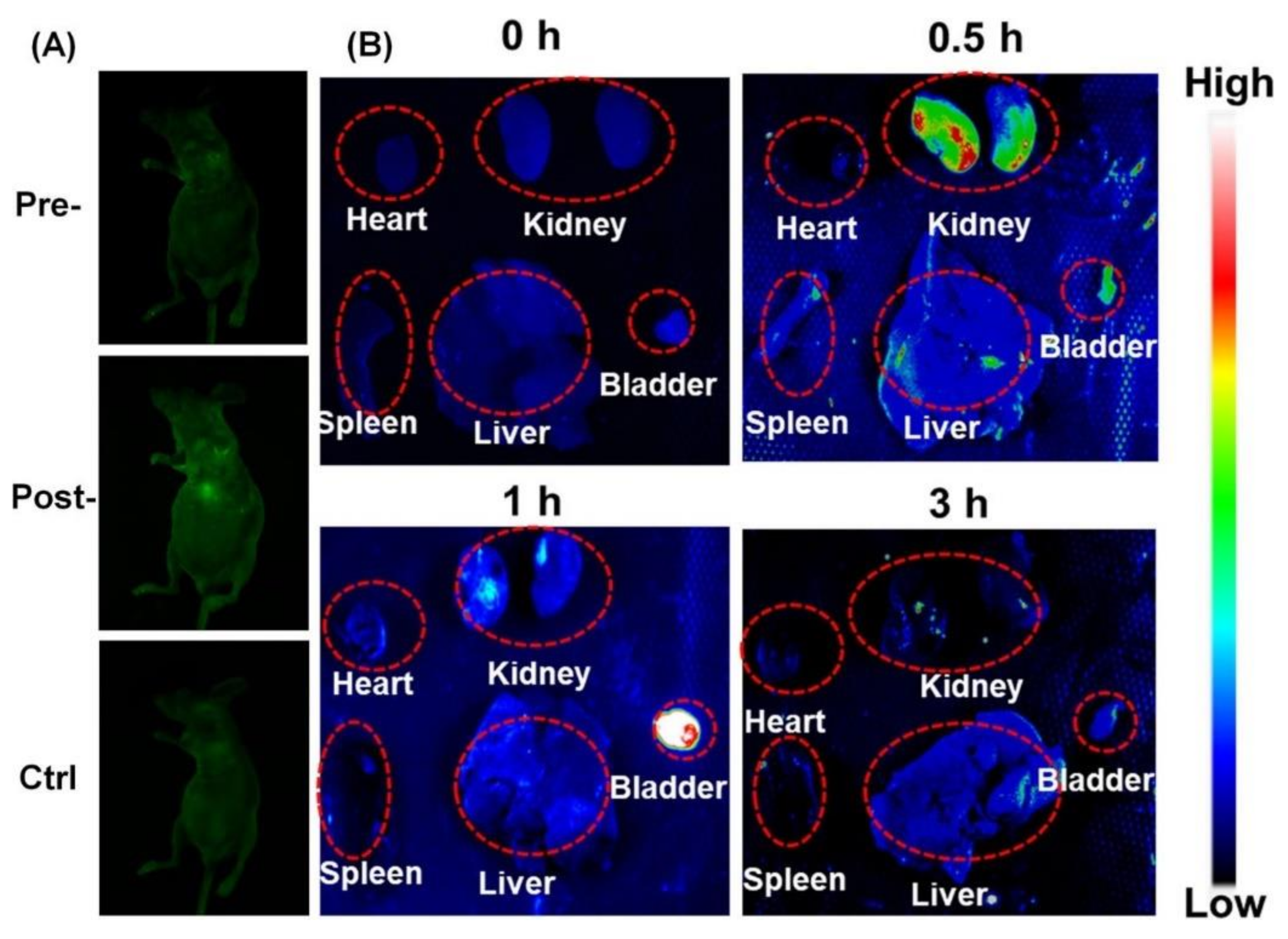 Nanomaterials 11 00611 g011 Nanomaterials 11 00611 g011