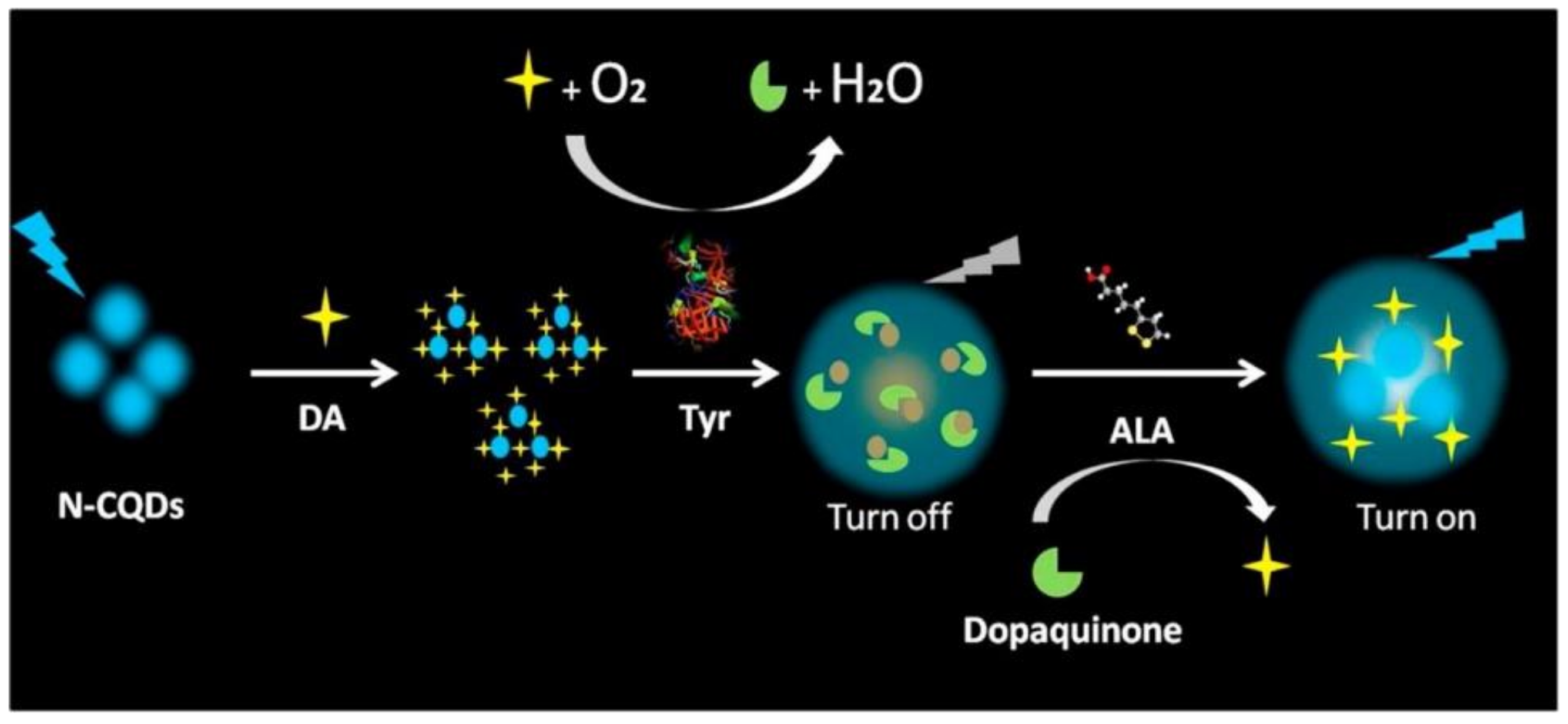 Nanomaterials 11 00611 g012 Nanomaterials 11 00611 g012