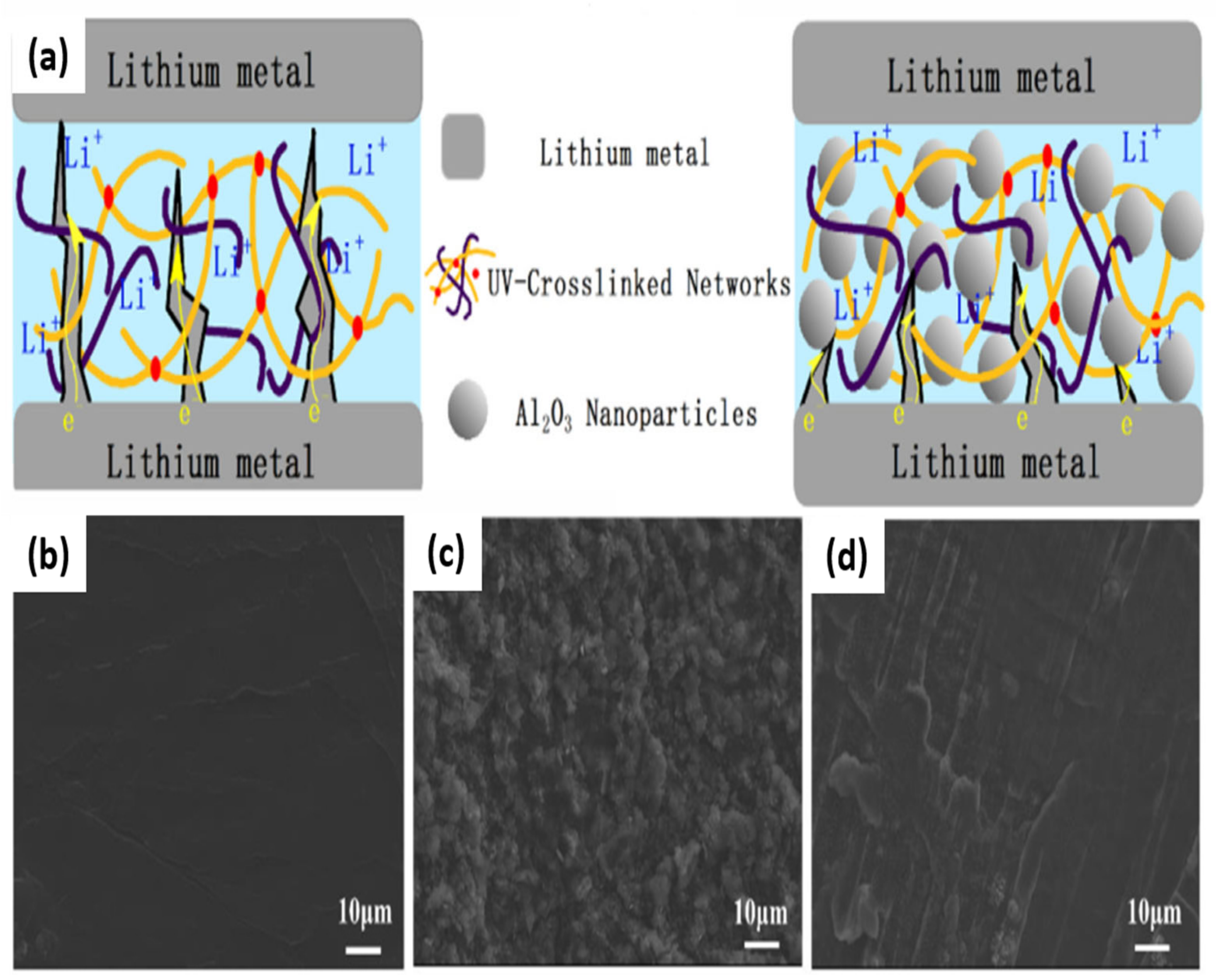 Nanomaterials Free Full Text Inorganic Fillers In Composite Gel Polymer Electrolytes For High Performance Lithium And Non Lithium Polymer Batteries Html