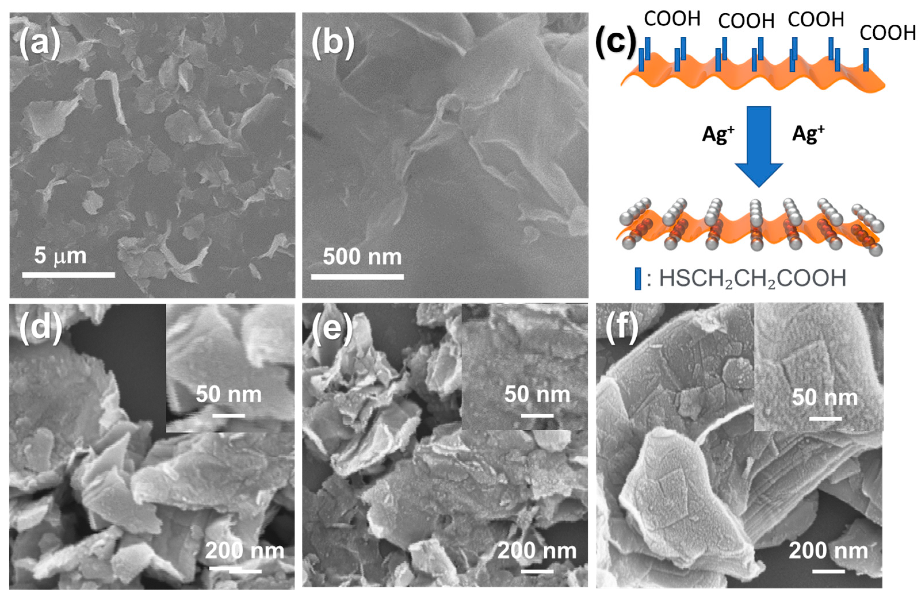 Nanomaterials 11 00626 g001
