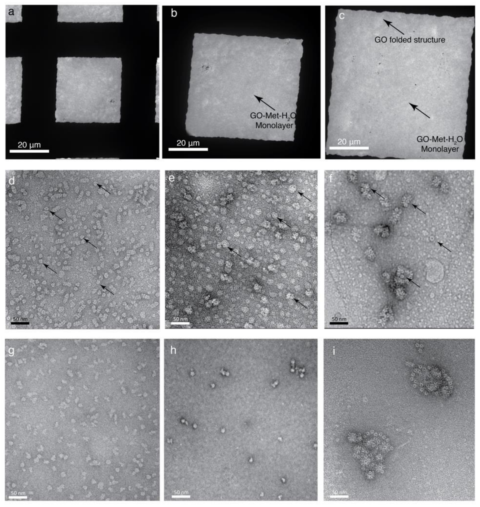 Nanomaterials 11 00643 g003