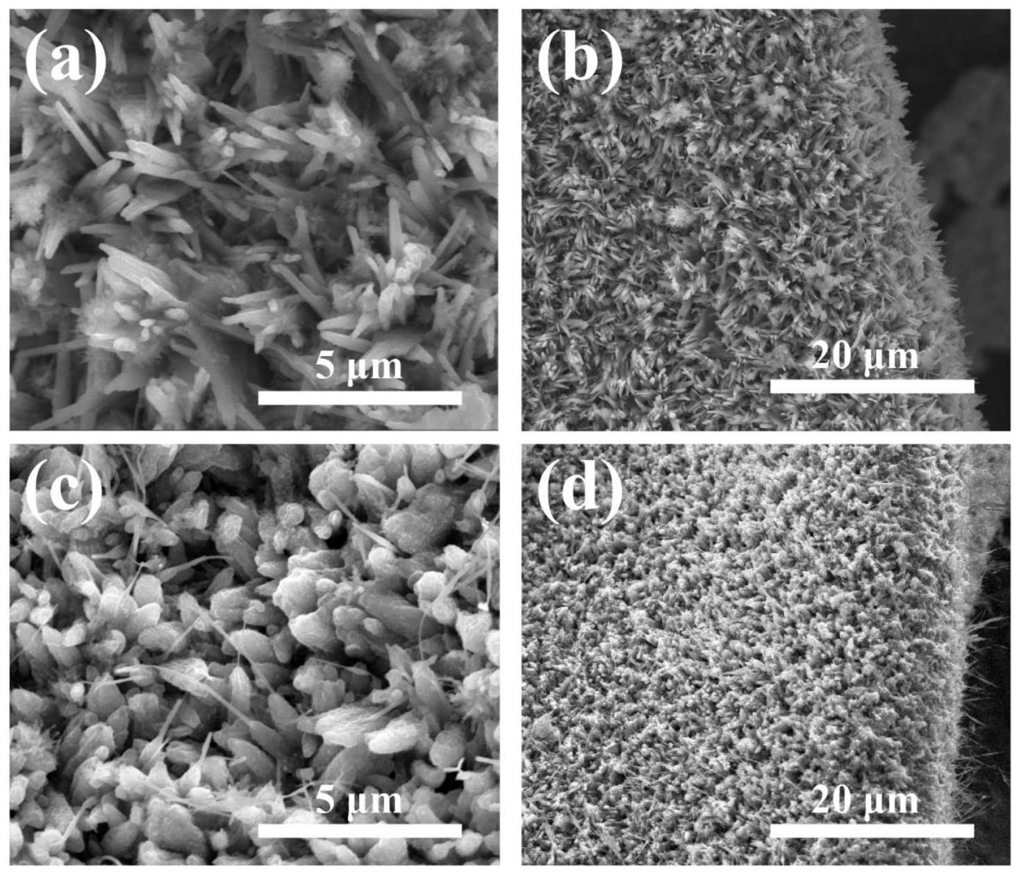 Nanomaterials 11 00678 g002