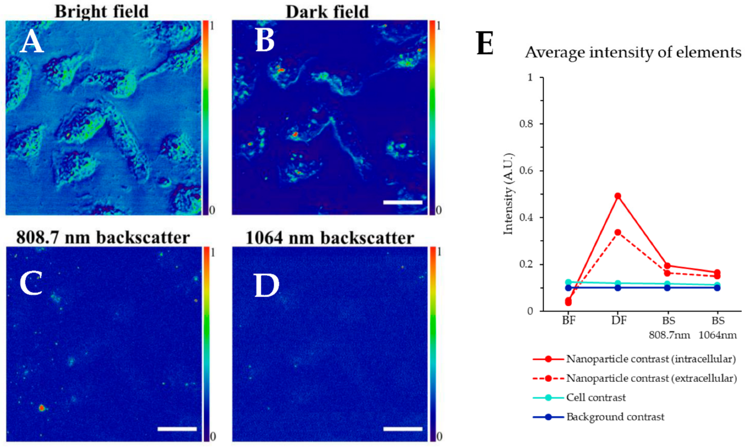 Nanomaterials 11 00685 g002 Nanomaterials 11 00685 g002