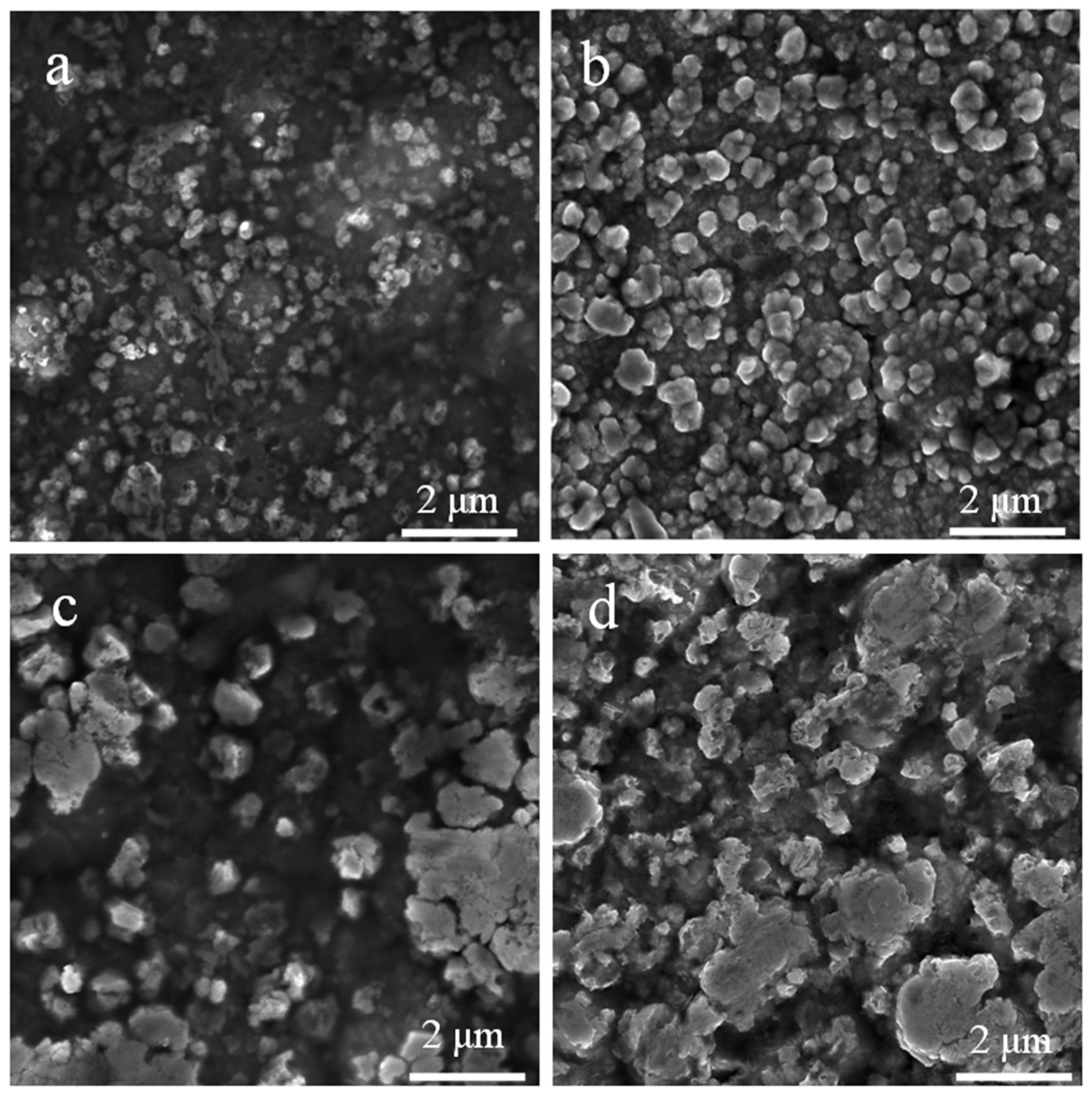 Nanomaterials 11 00702 g004