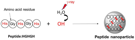 Stability of the YGYGY and HGHGH nanoparticles in water and in