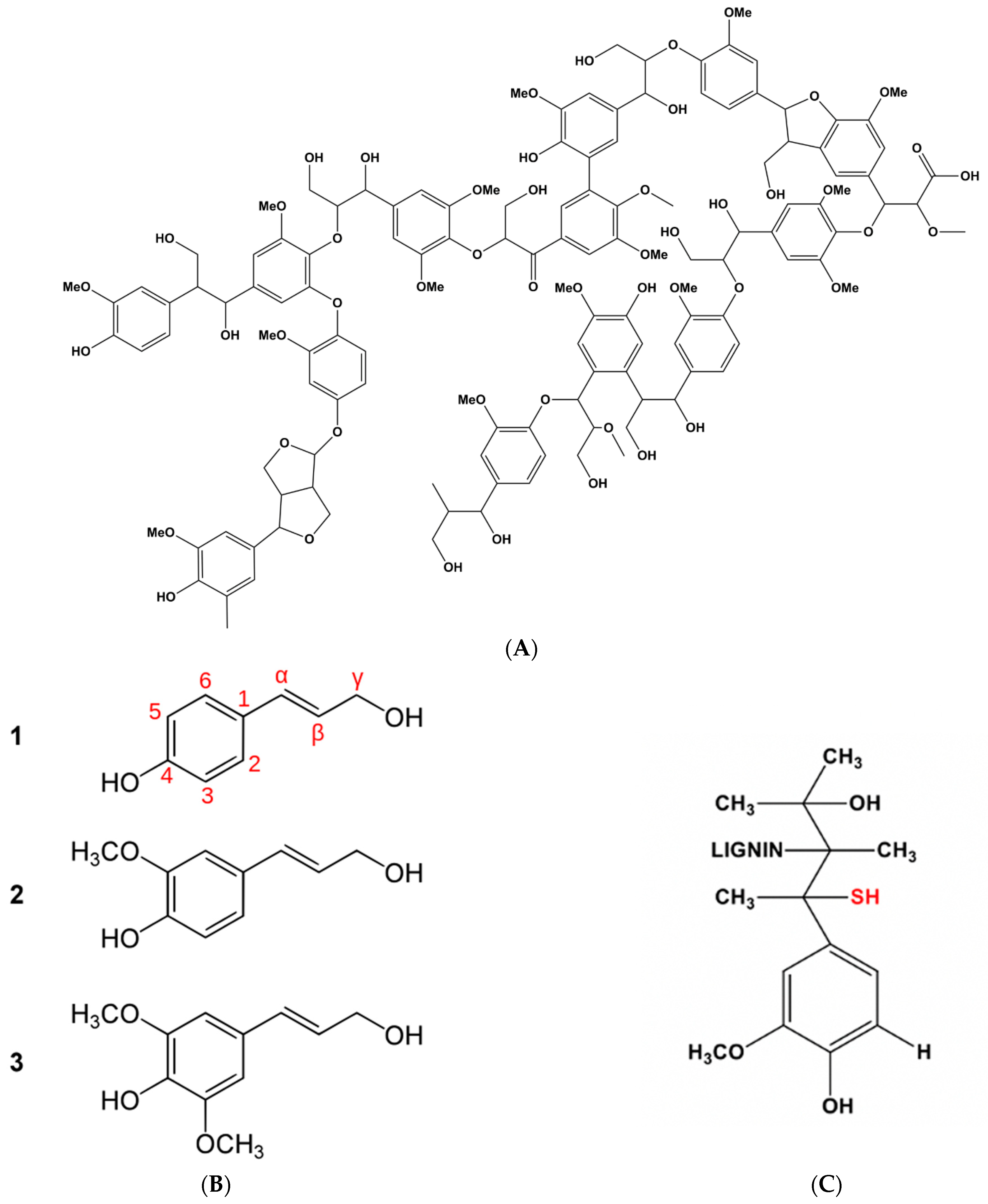 Nanomaterials 11 00718 sch001 Nanomaterials 11 00718 sch001