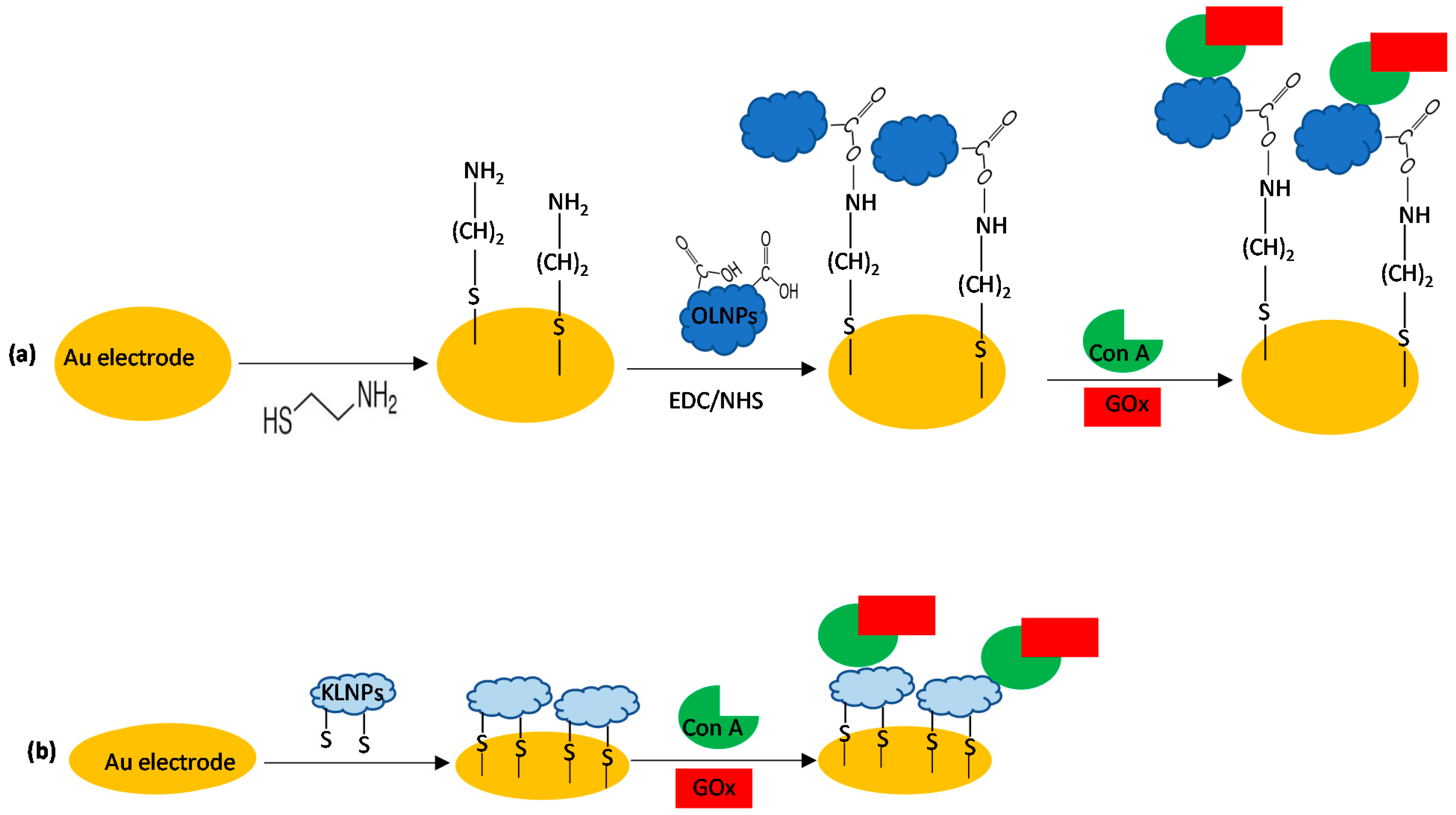 Nanomaterials 11 00718 sch002 Nanomaterials 11 00718 sch002