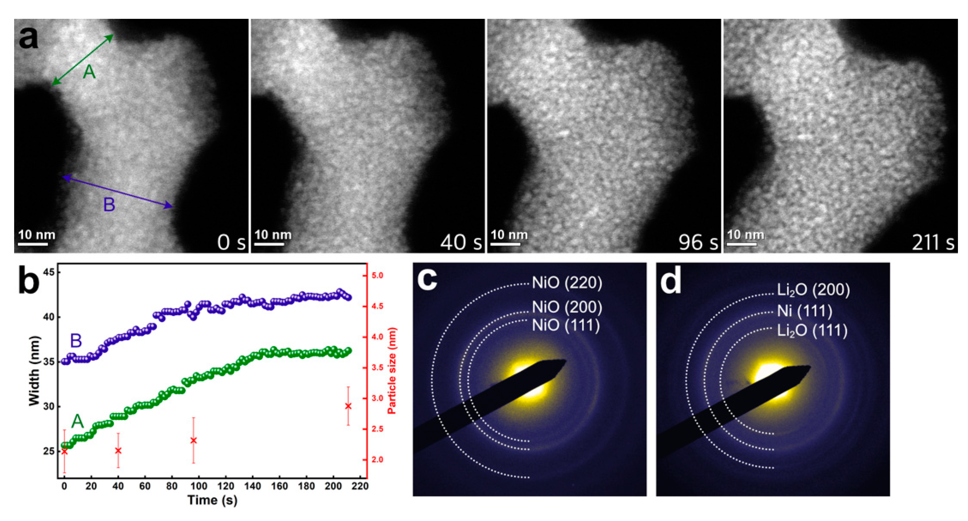Nanomaterials 11 00728 g002