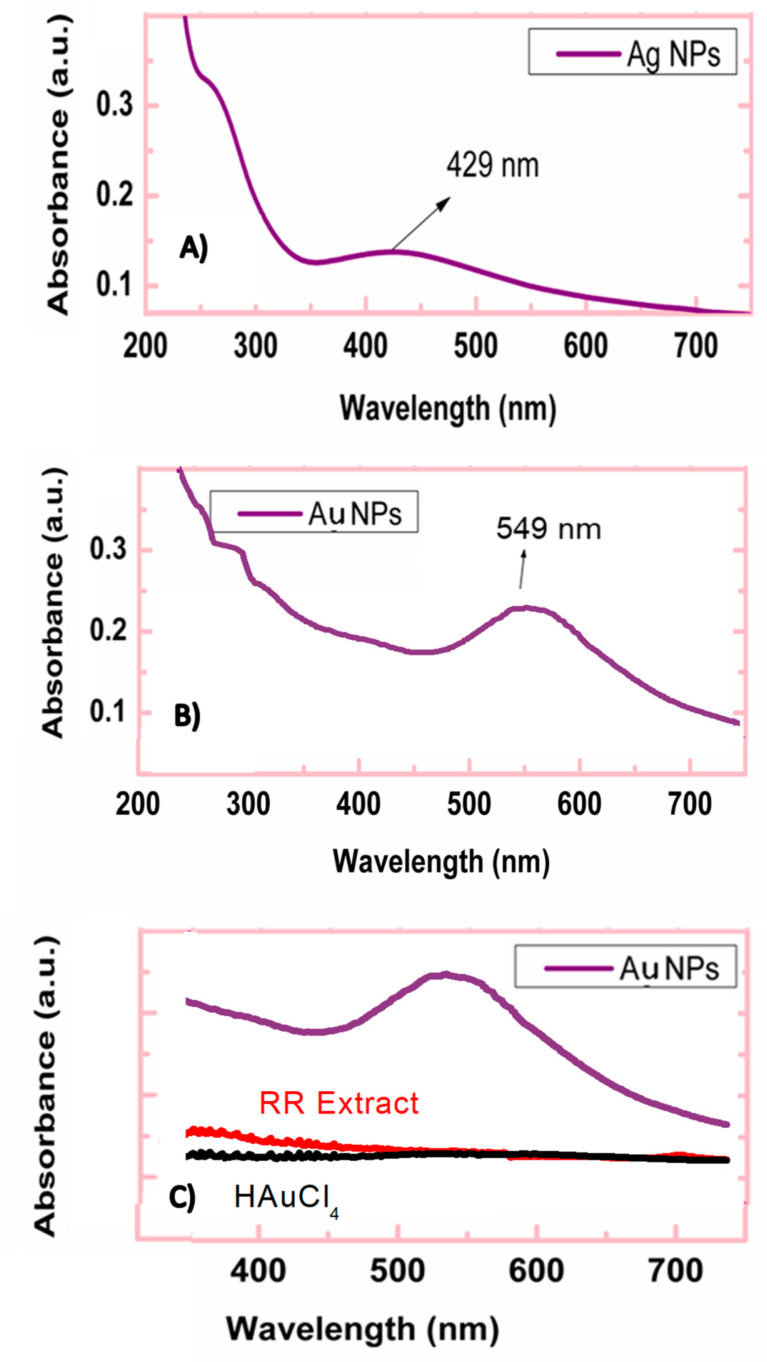 Nanomaterials 11 00739 g001