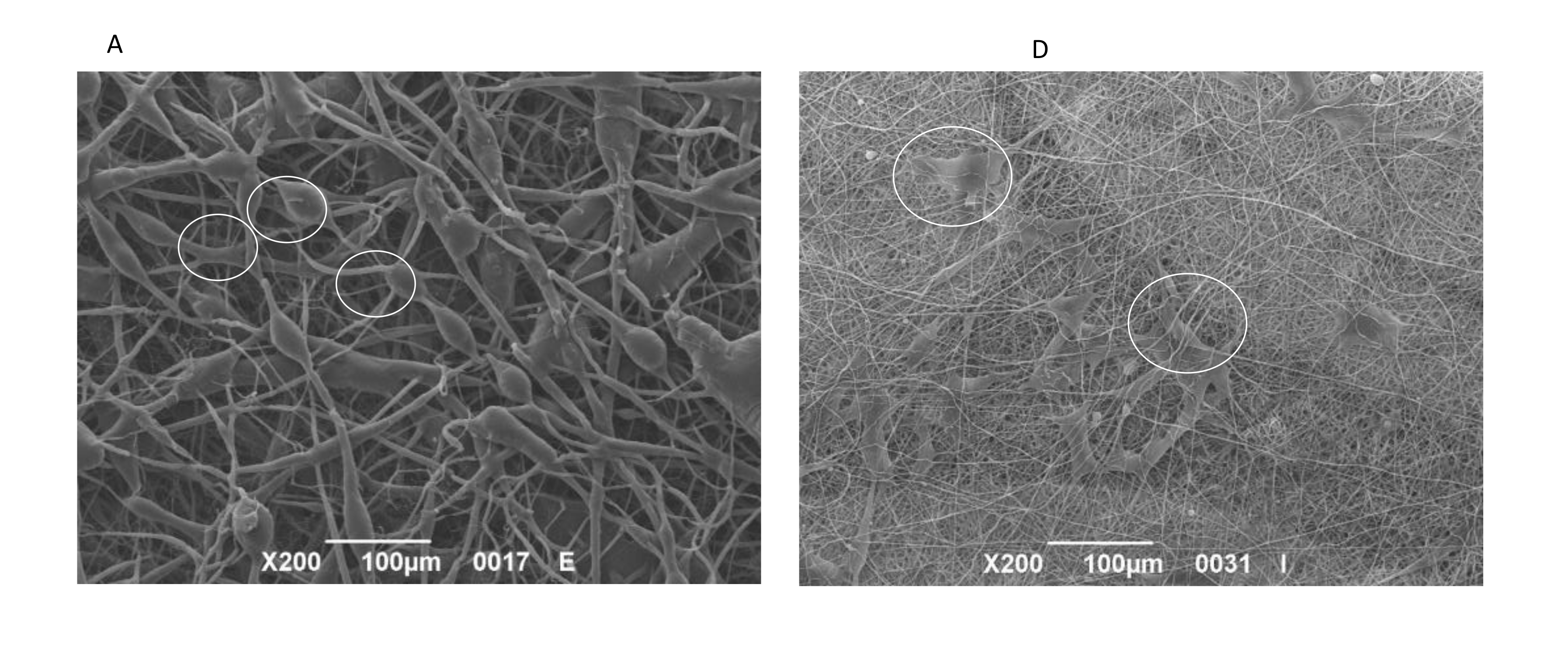 Nanomaterials 11 00751 g006a