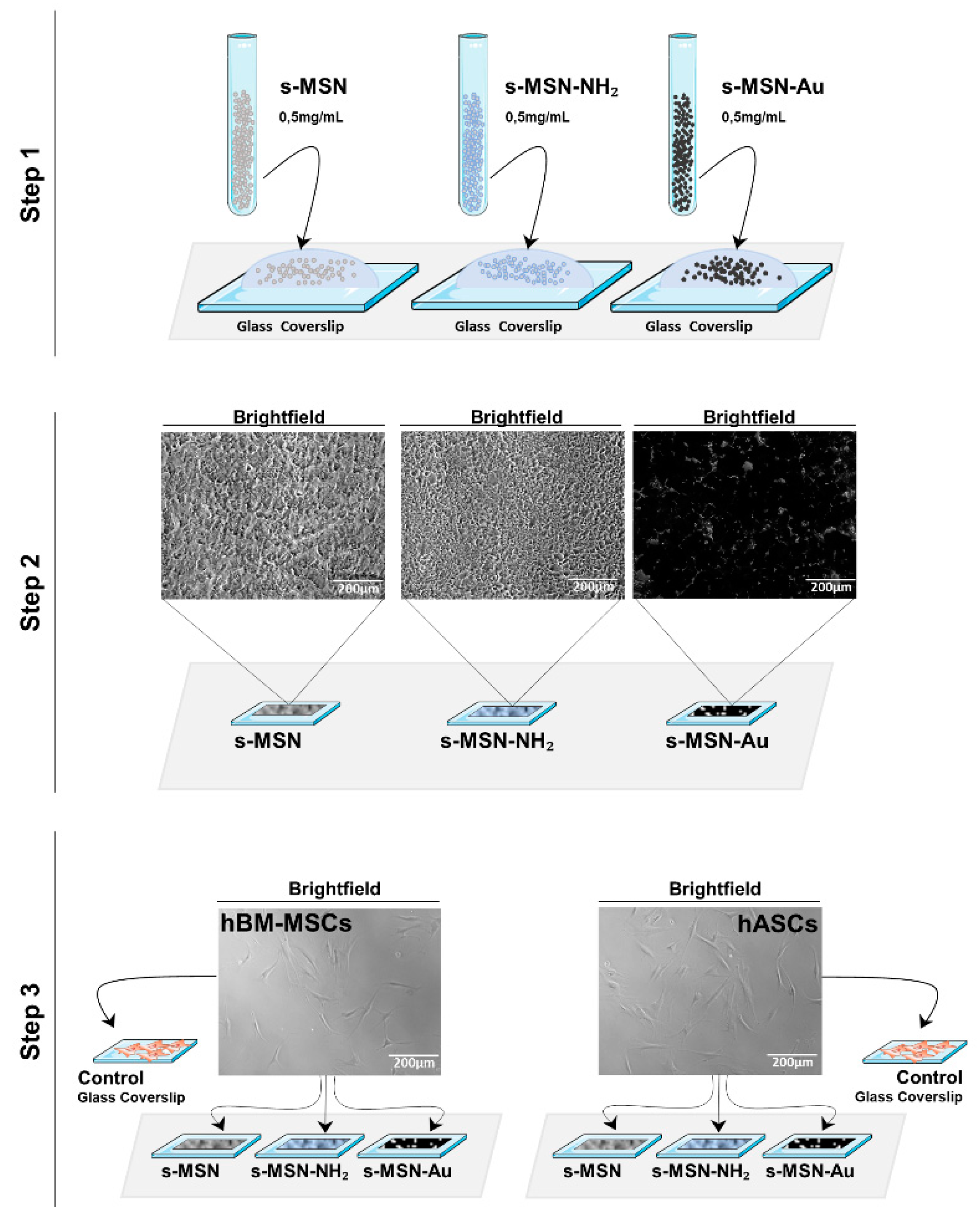 Nanomaterials 11 00779 g003