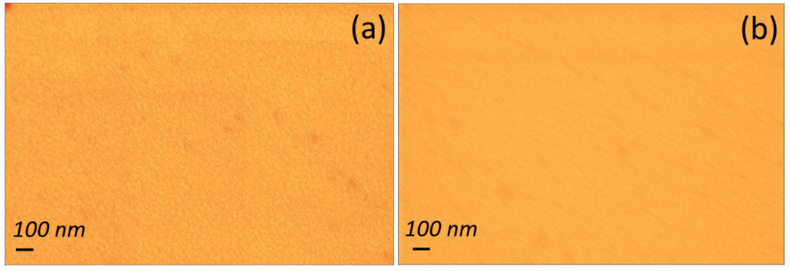 Nanomaterials 11 00781 g004