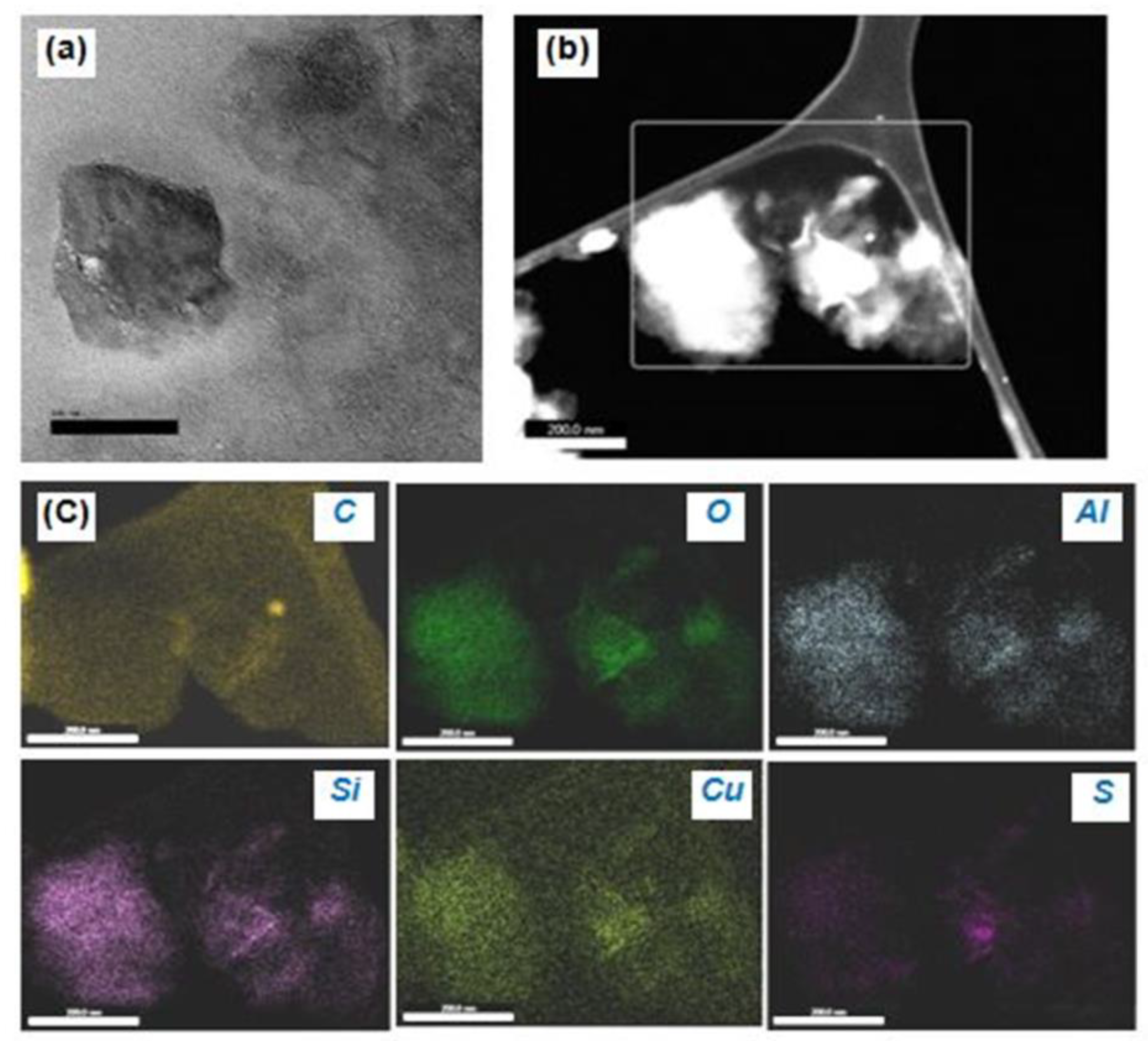 Nanomaterials 11 00802 g006 Nanomaterials 11 00802 g006