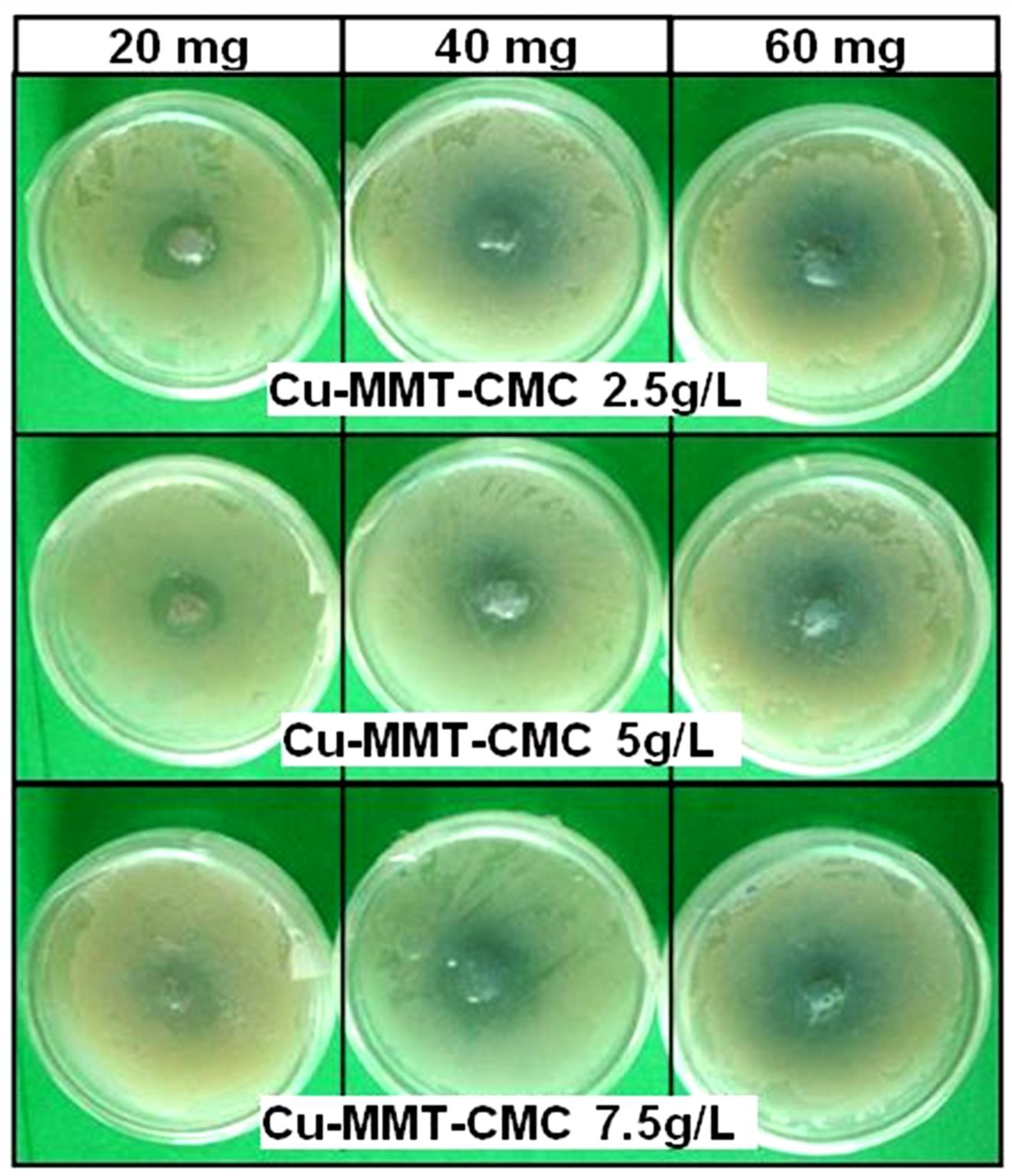 Nanomaterials 11 00802 g007 Nanomaterials 11 00802 g007
