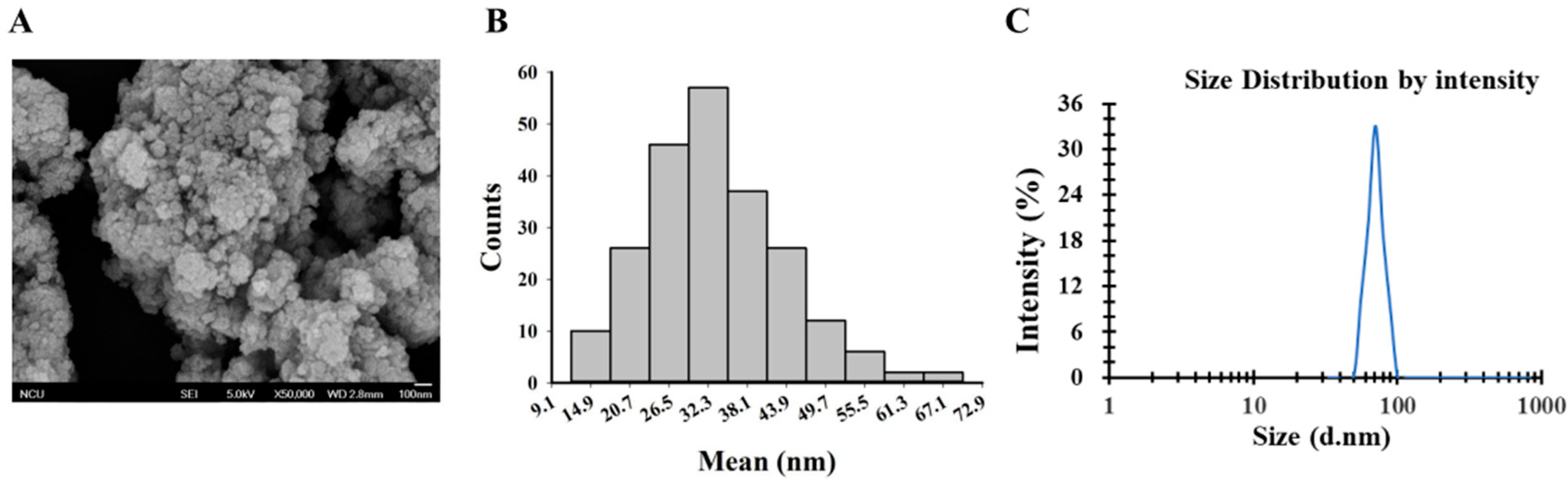 Nanomaterials 11 00803 g001