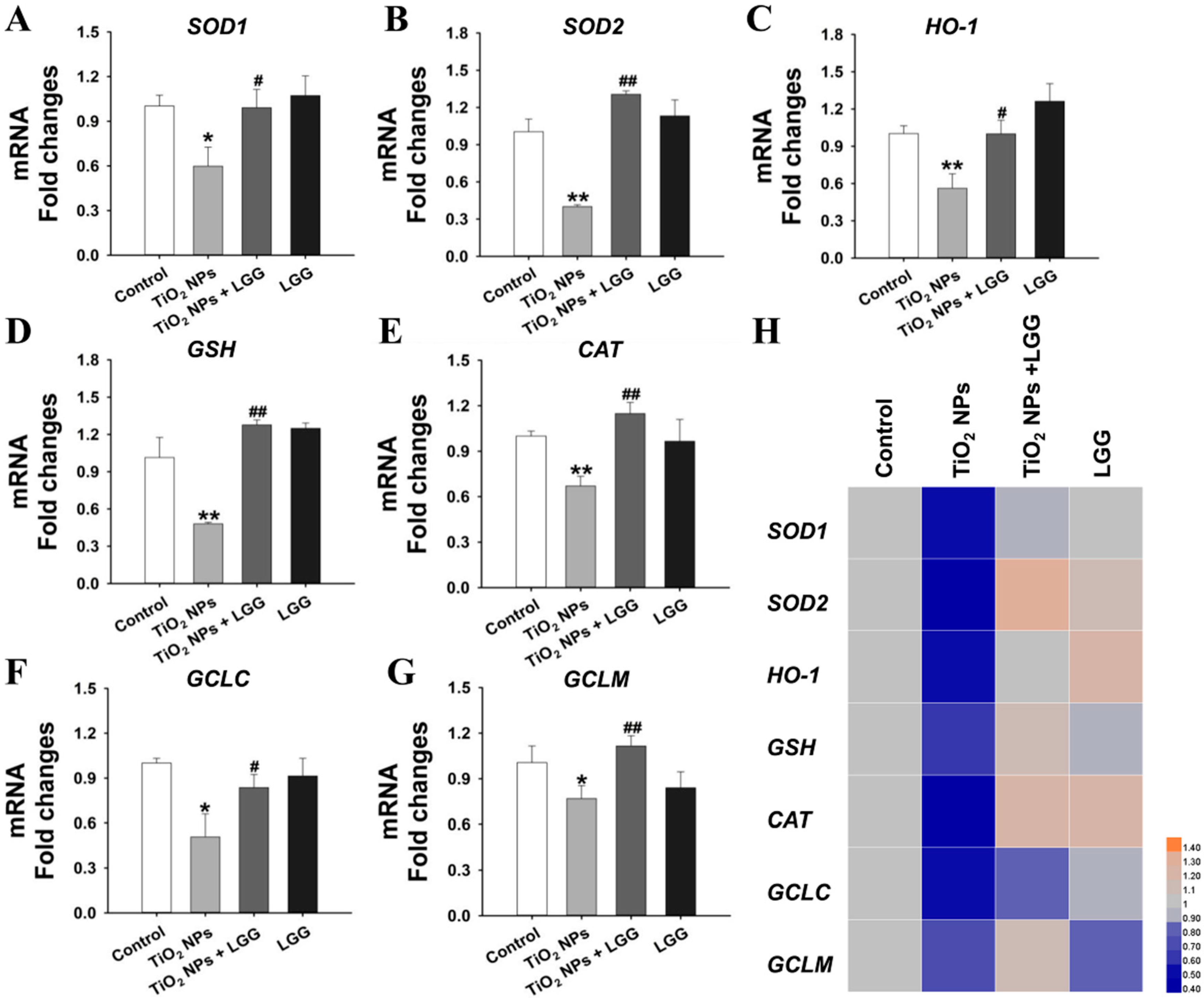 Nanomaterials 11 00803 g007