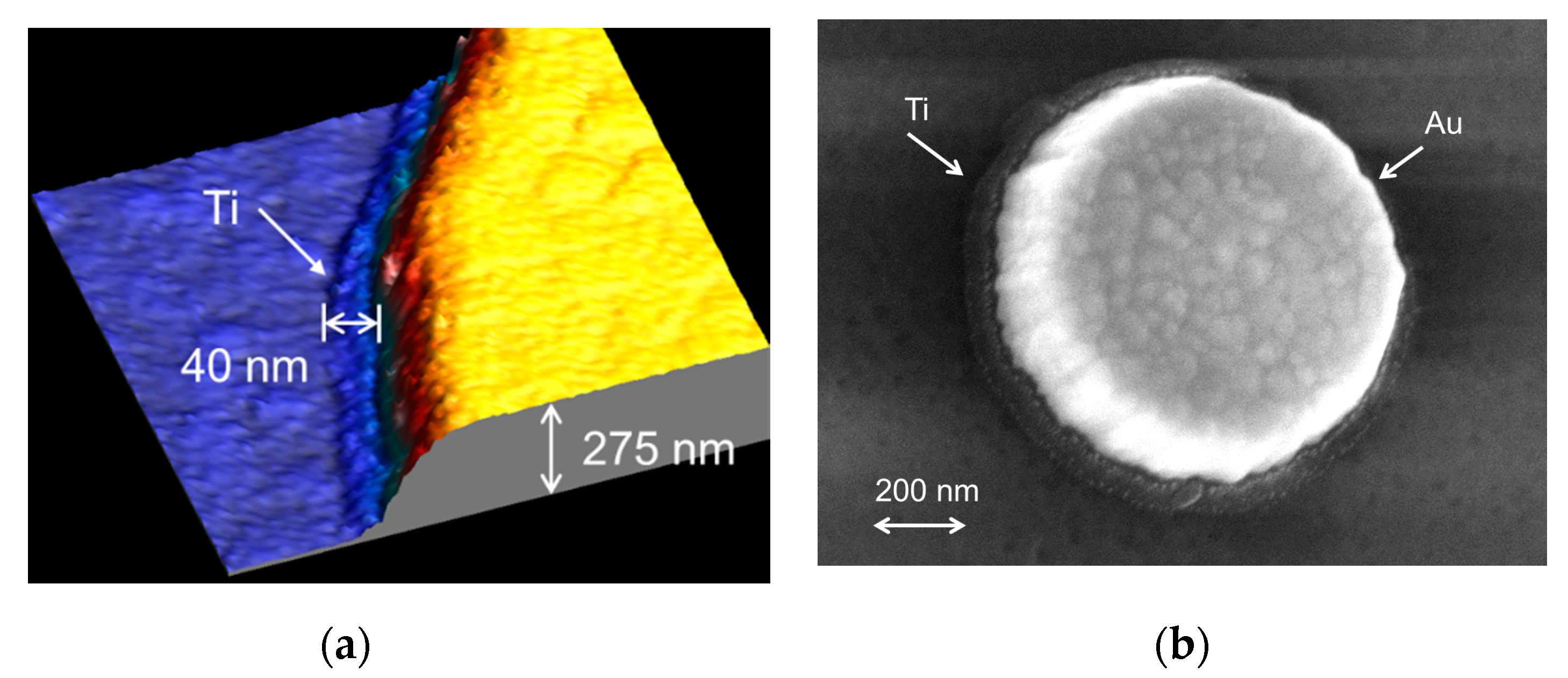 Nanomaterials 11 00820 g002