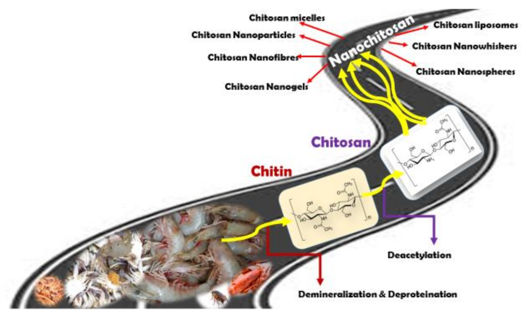 Nanomaterials 11 00821 g001 Nanomaterials 11 00821 g001