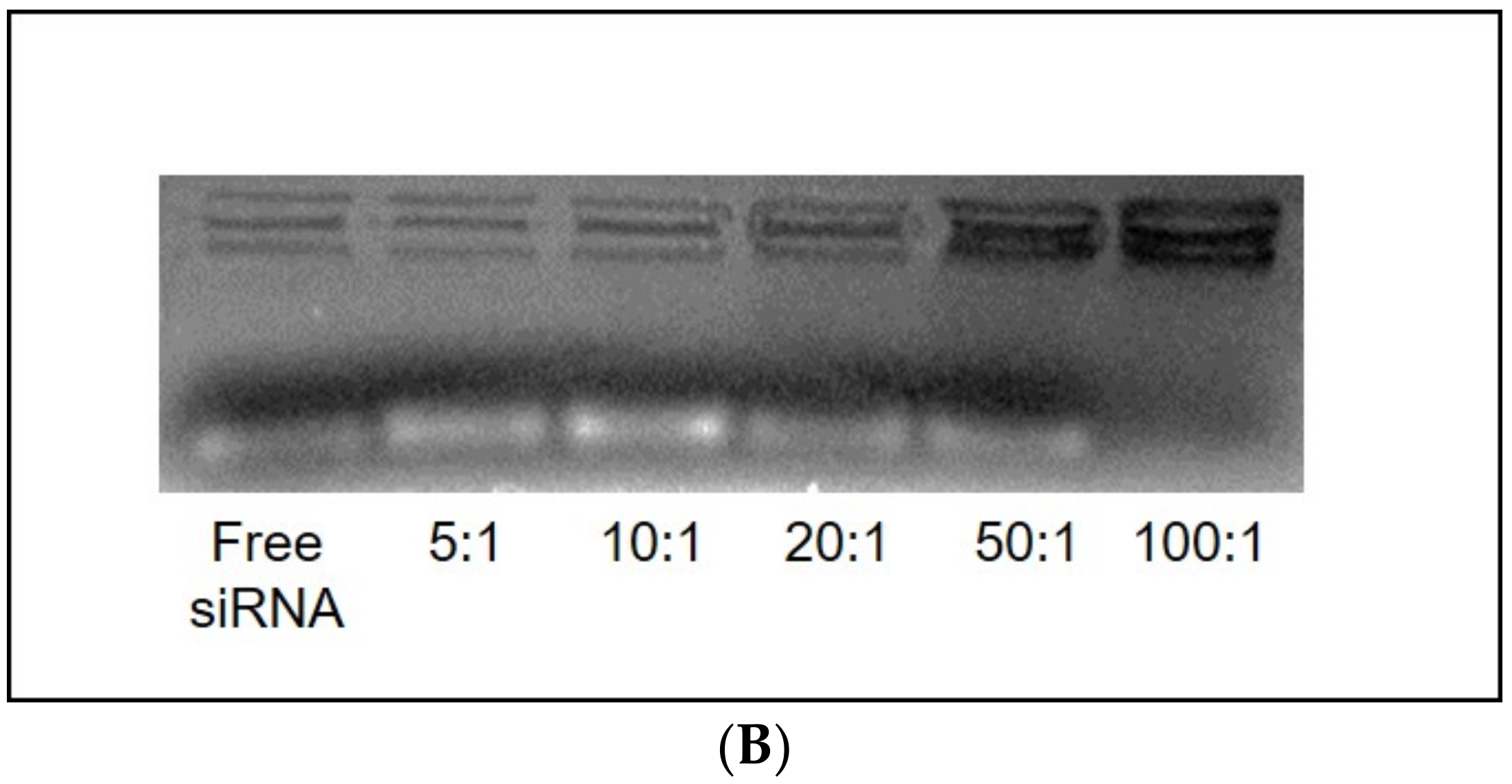 Nanomaterials 11 00825 g004b Nanomaterials 11 00825 g004b