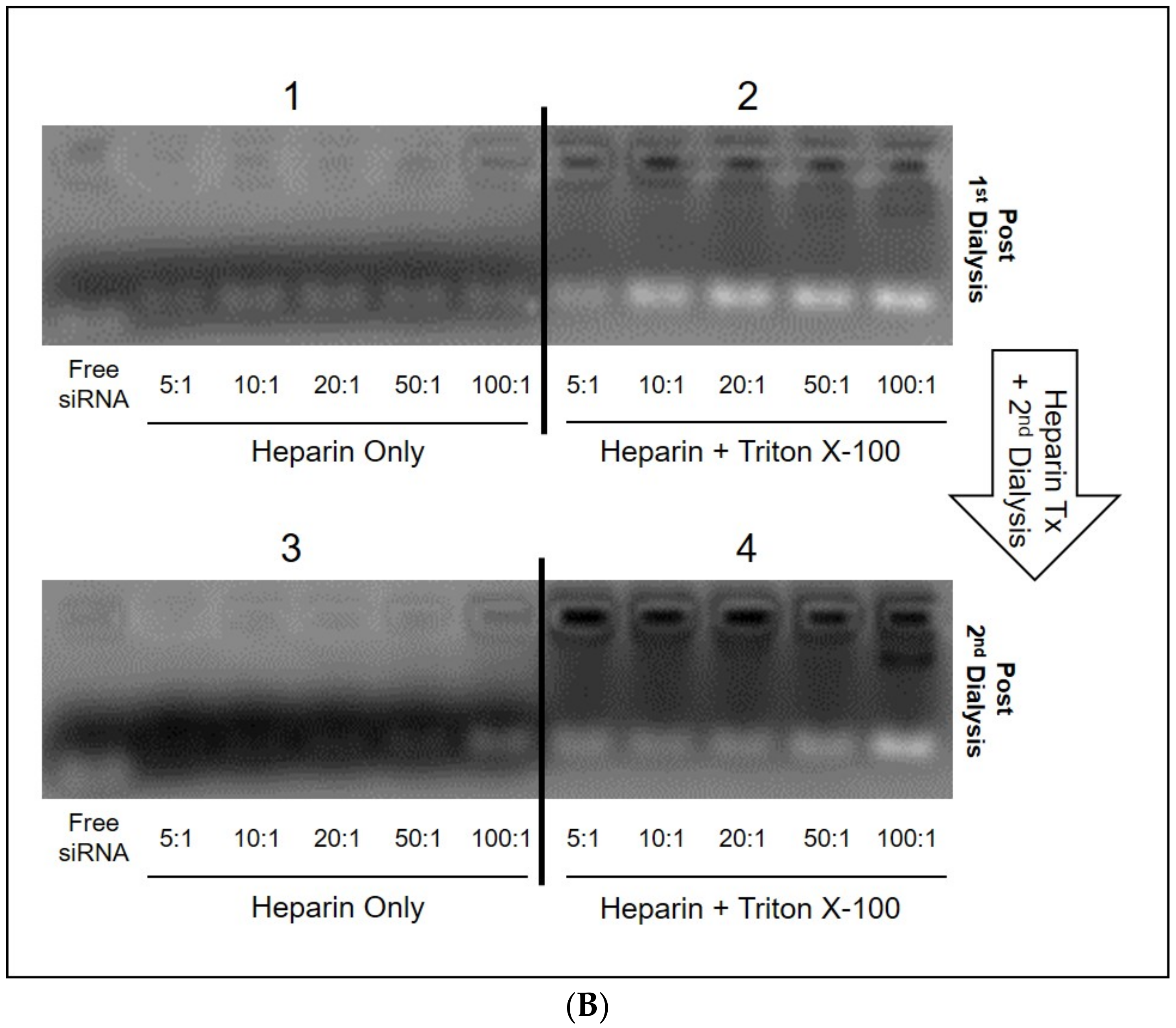 Nanomaterials 11 00825 g005b Nanomaterials 11 00825 g005b