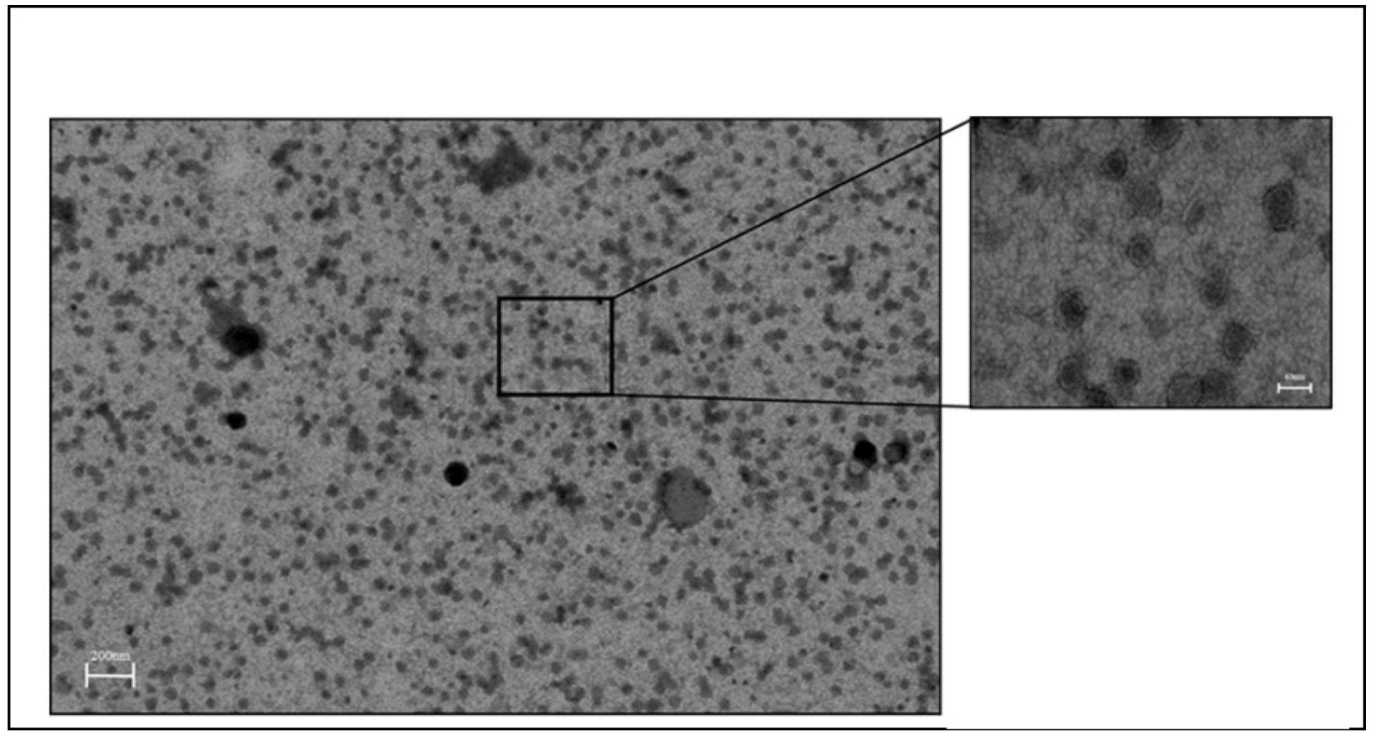 Nanomaterials 11 00825 g008 Nanomaterials 11 00825 g008