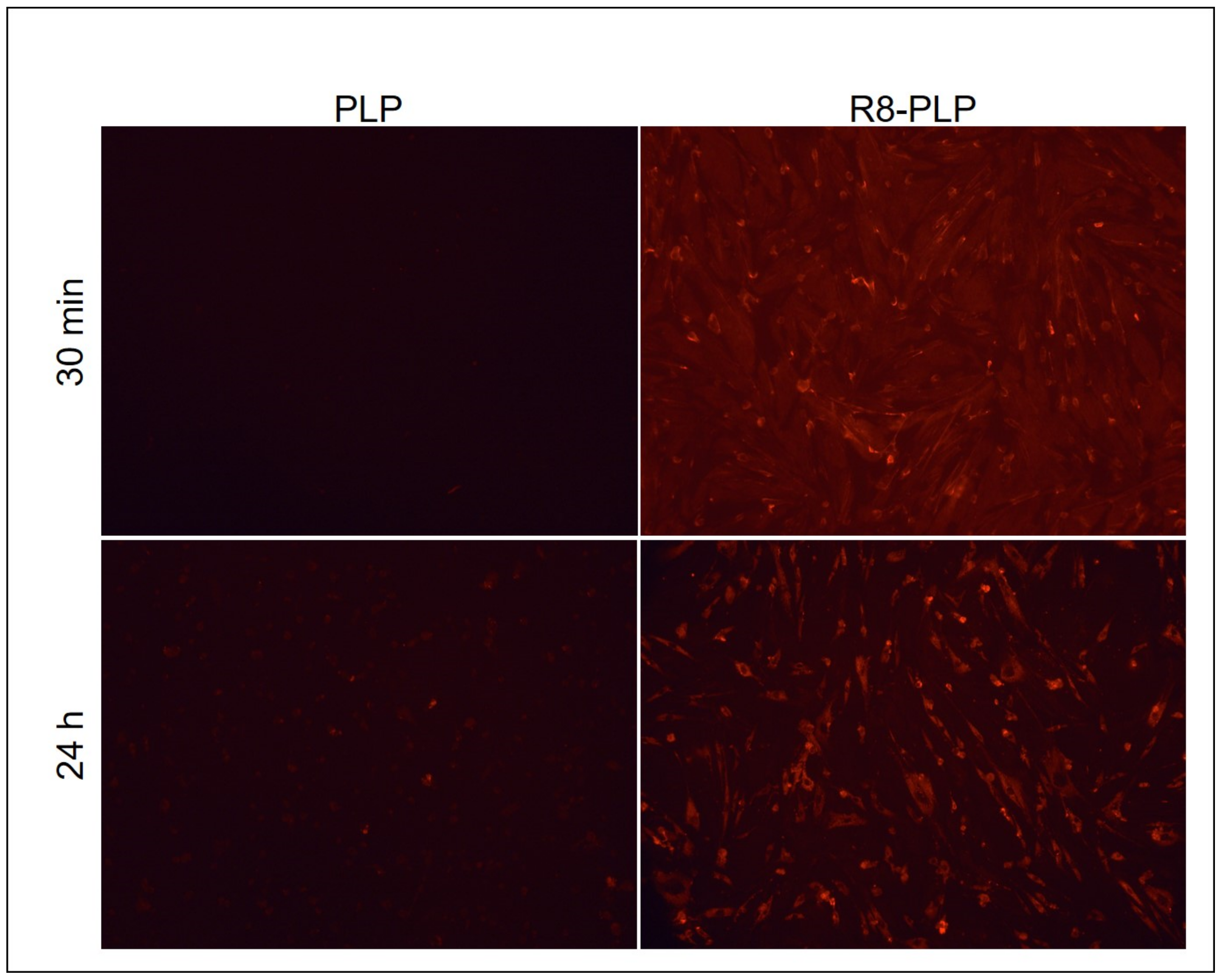 Nanomaterials 11 00825 g009 Nanomaterials 11 00825 g009