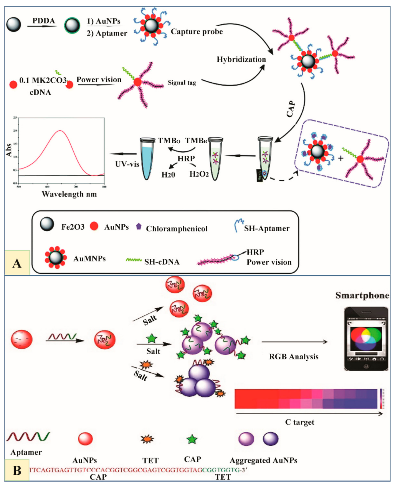 Nanomaterials 11 00840 g005