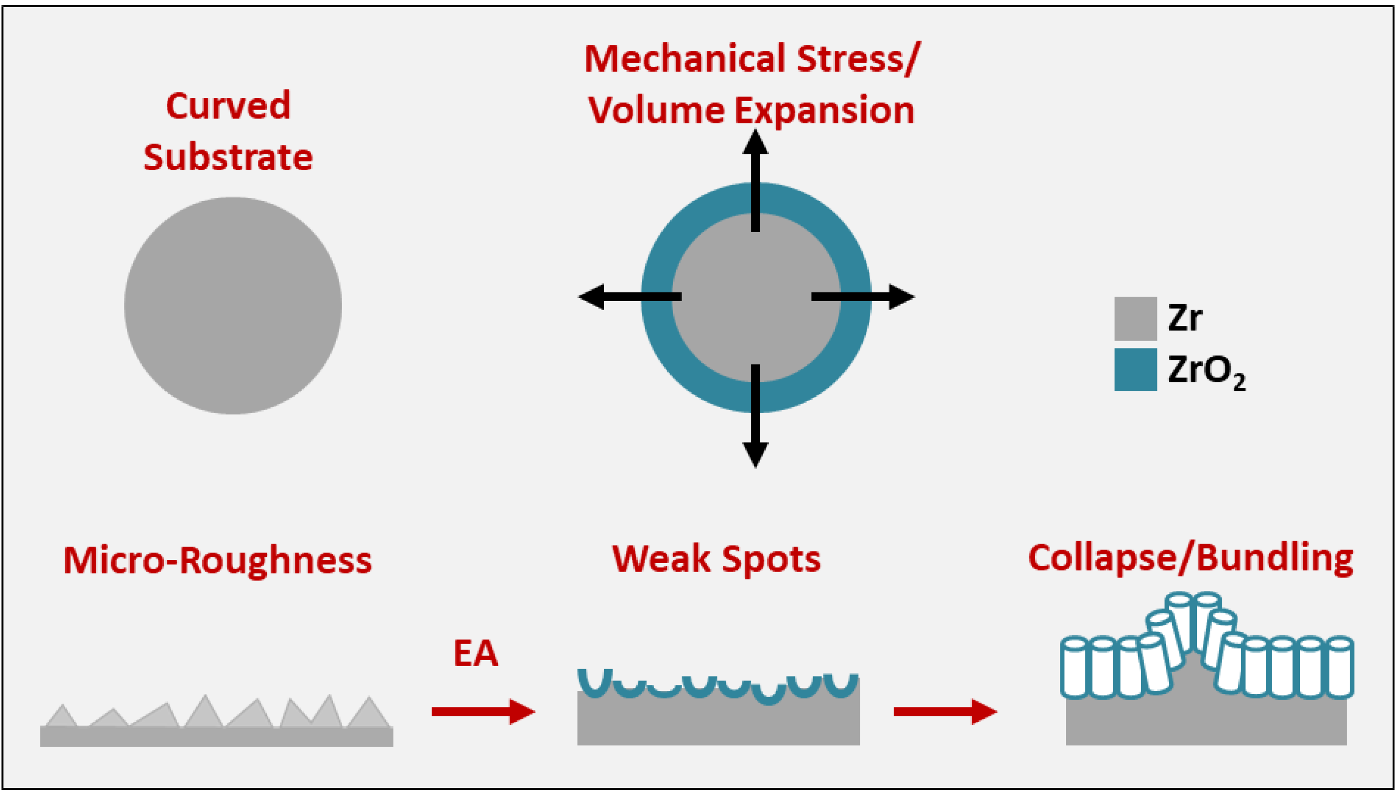Nanomaterials 11 00868 g003