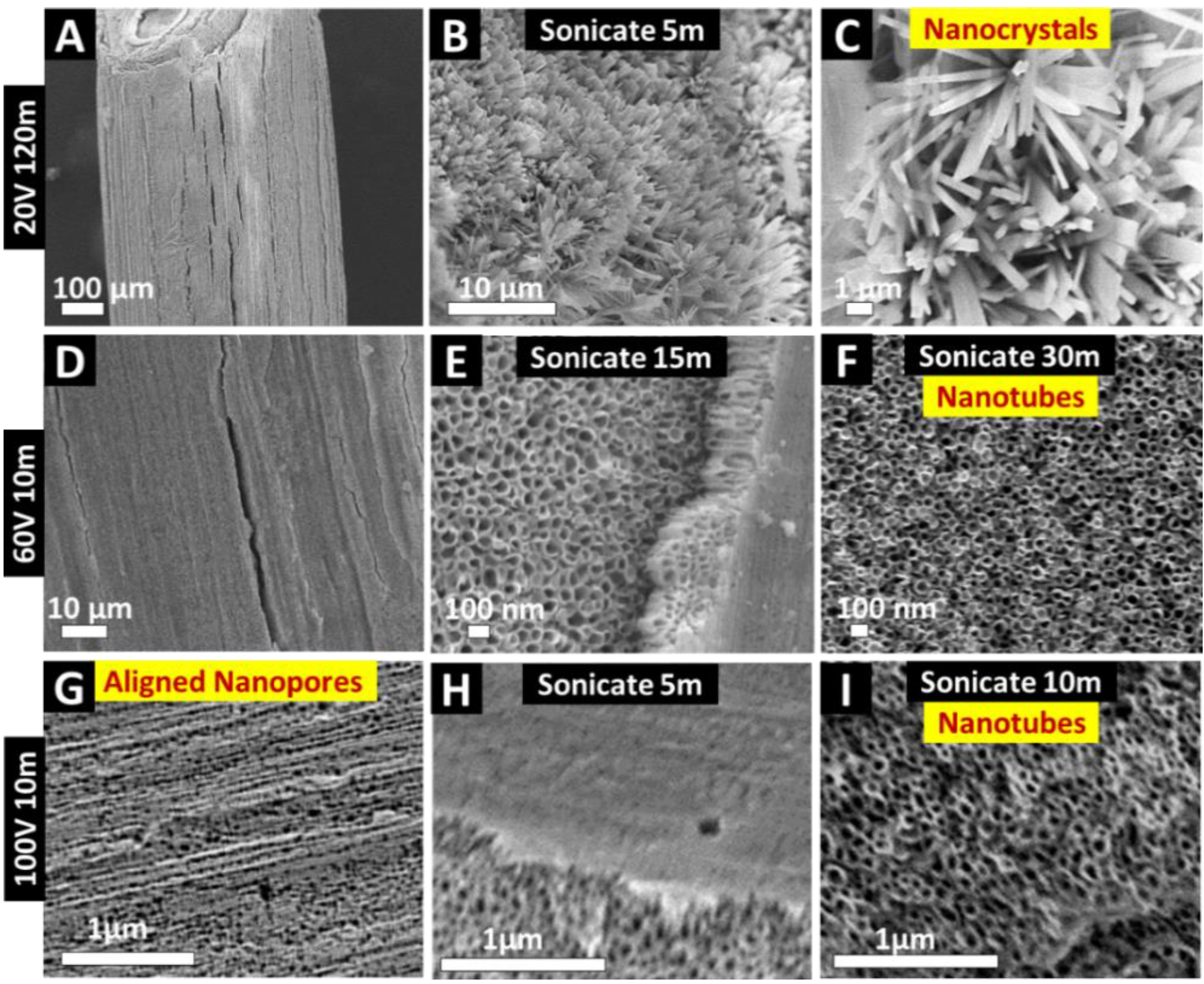 Nanomaterials 11 00868 g005
