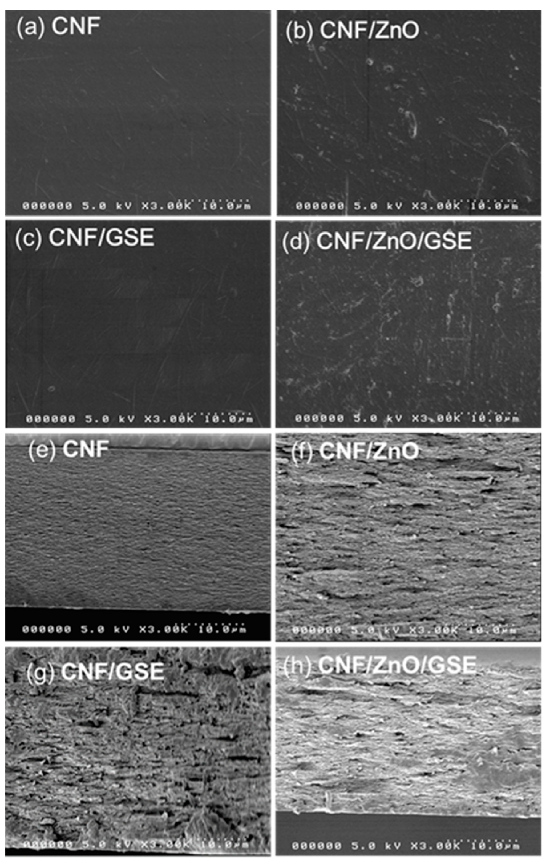 Nanomaterials 11 00877 g002