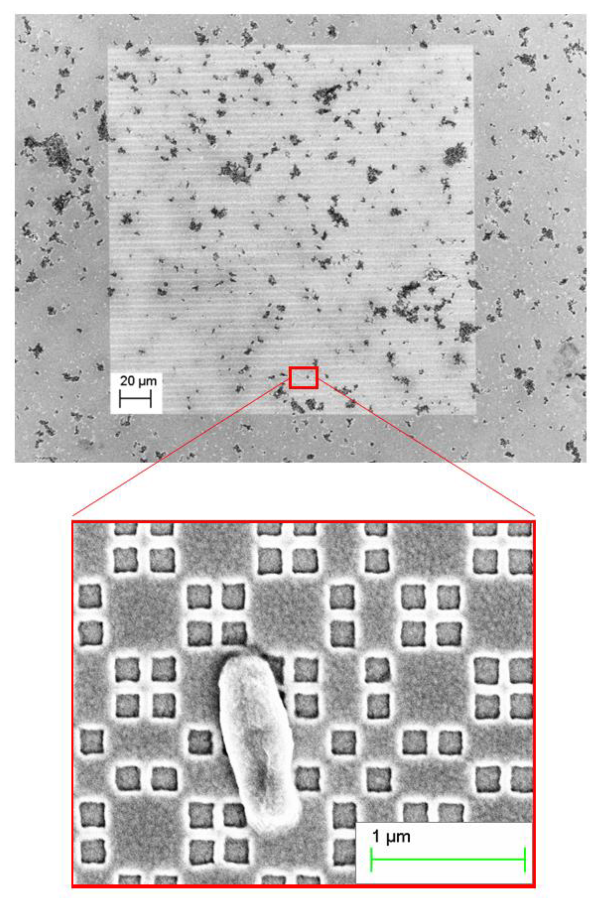 Nanomaterials 11 00886 g003 Nanomaterials 11 00886 g003