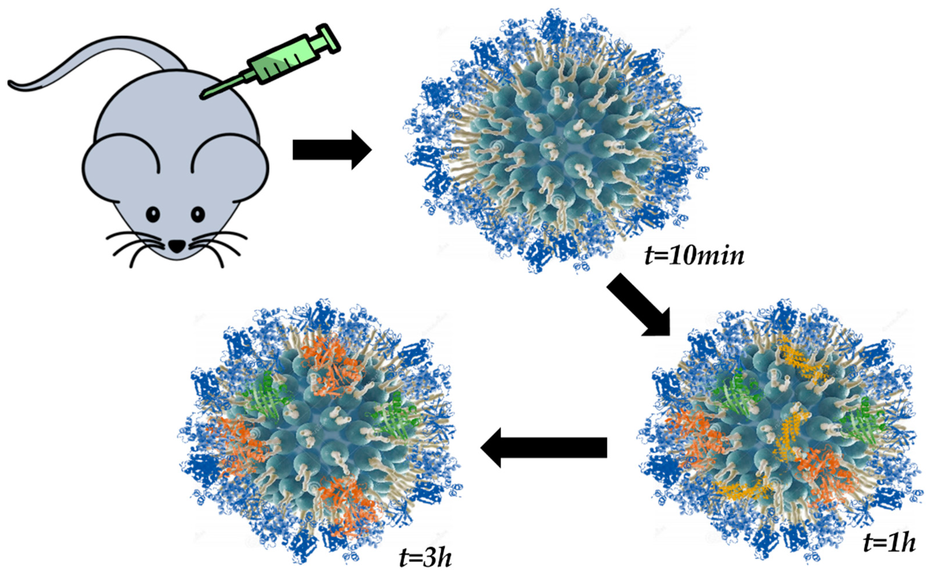 Nanomaterials 11 00888 g006