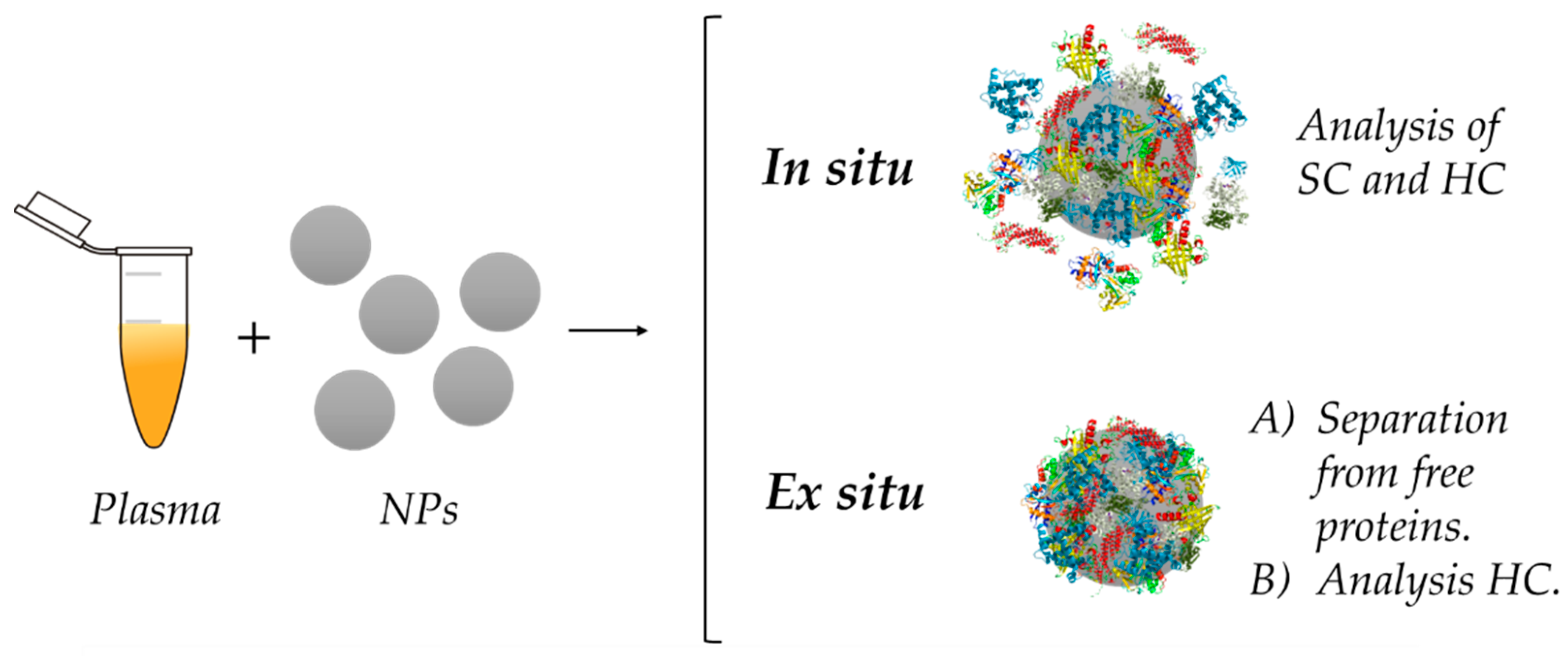 Nanomaterials 11 00888 g008