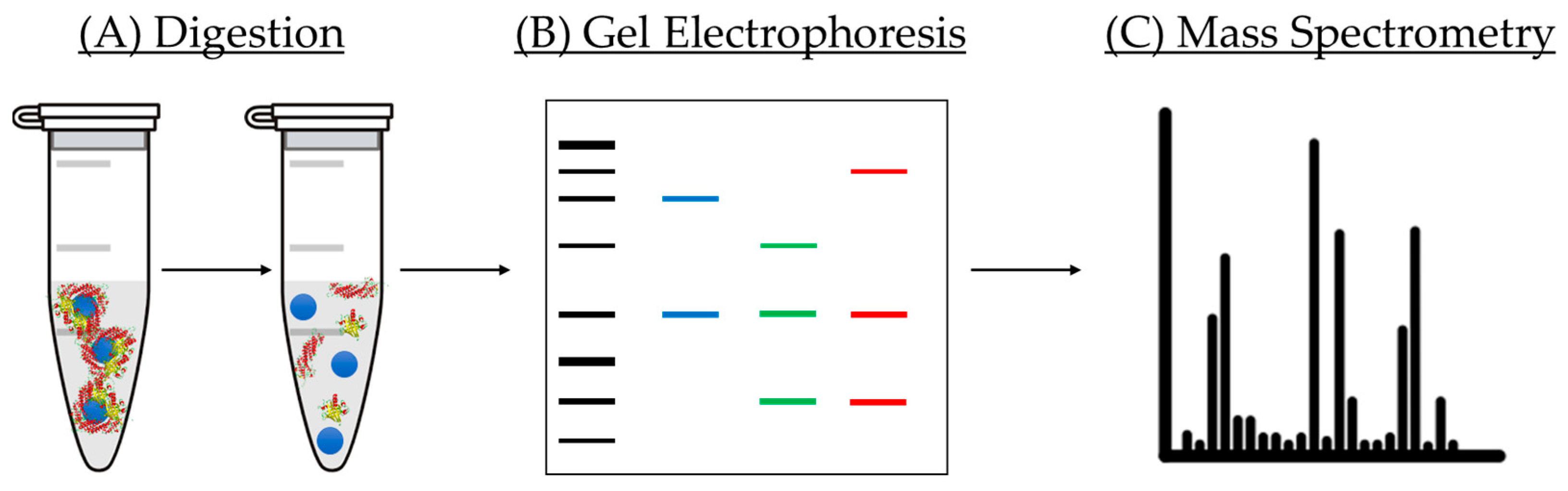 Nanomaterials 11 00888 g010