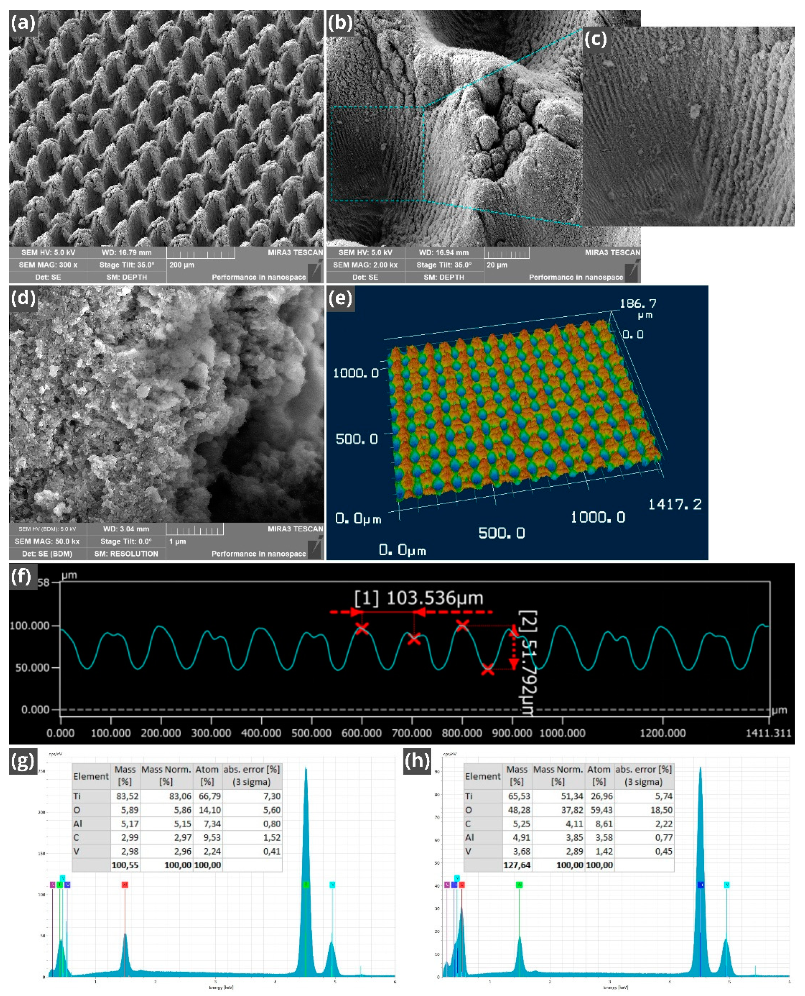 Nanomaterials 11 00899 g002 Nanomaterials 11 00899 g002