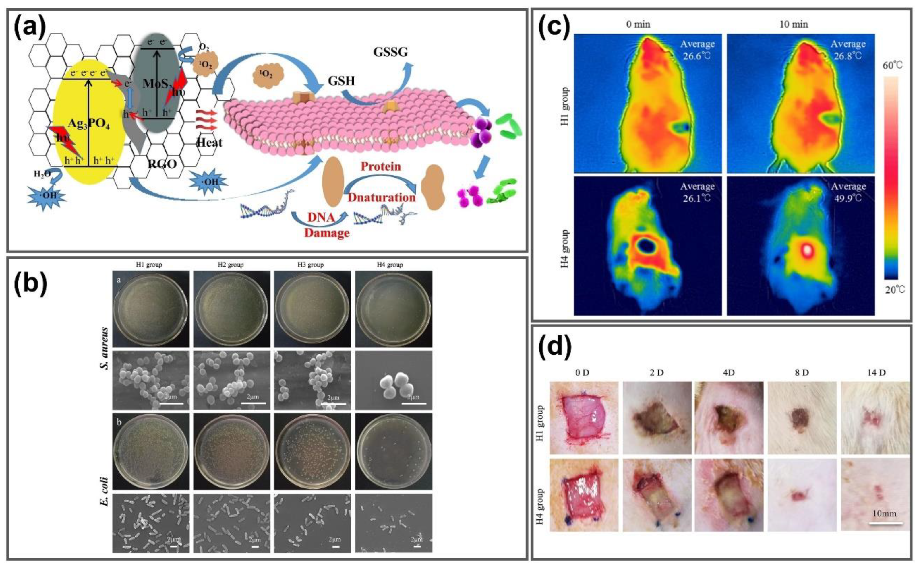 Nanomaterials 11 00906 g008 Nanomaterials 11 00906 g008