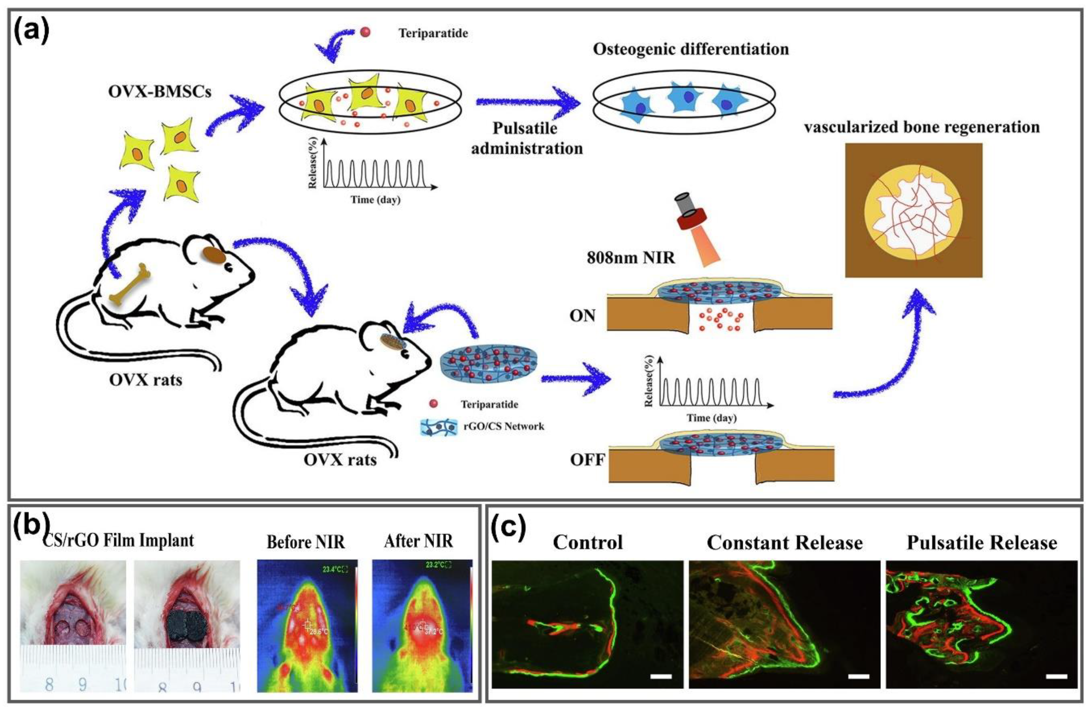 Nanomaterials 11 00906 g010 Nanomaterials 11 00906 g010