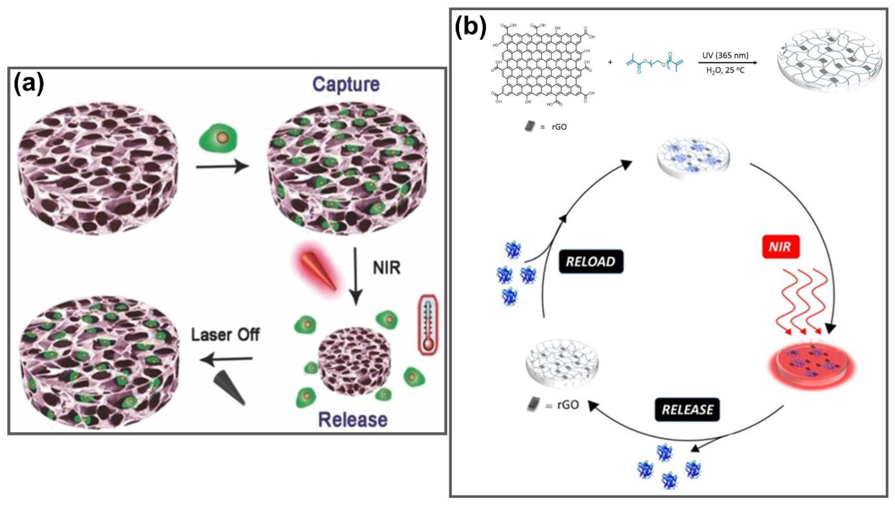 Nanomaterials 11 00906 g011 Nanomaterials 11 00906 g011