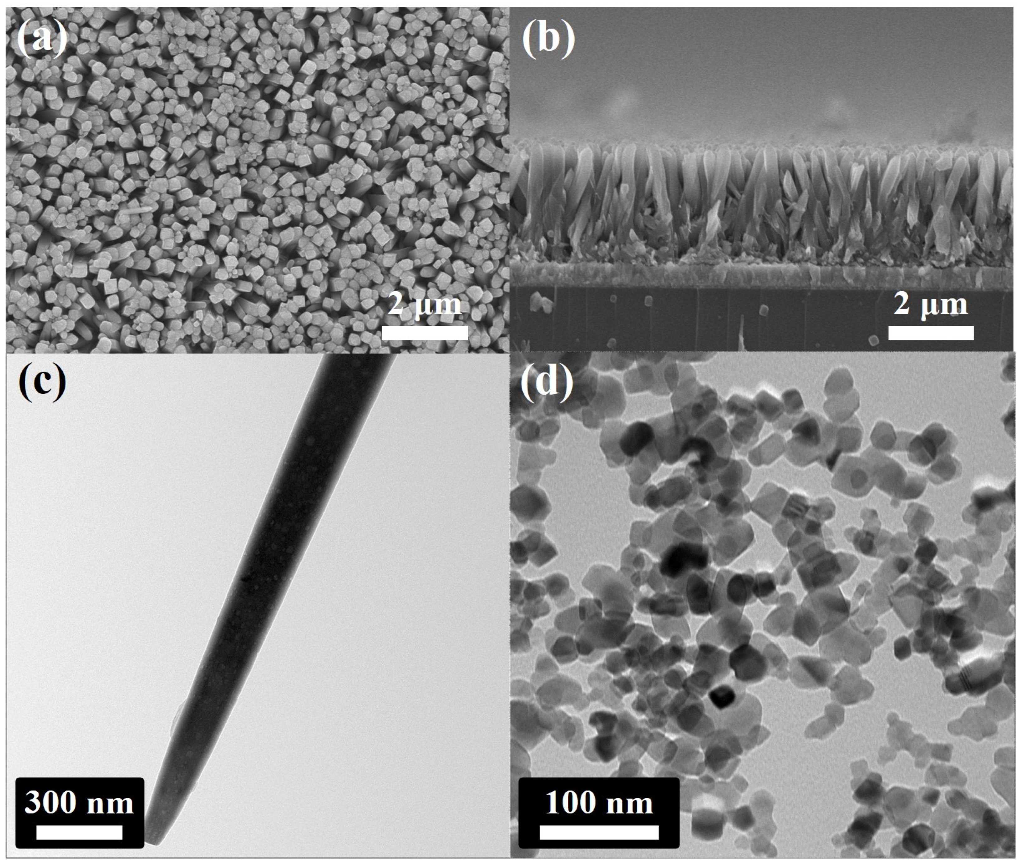 Nanomaterials 11 00913 g001