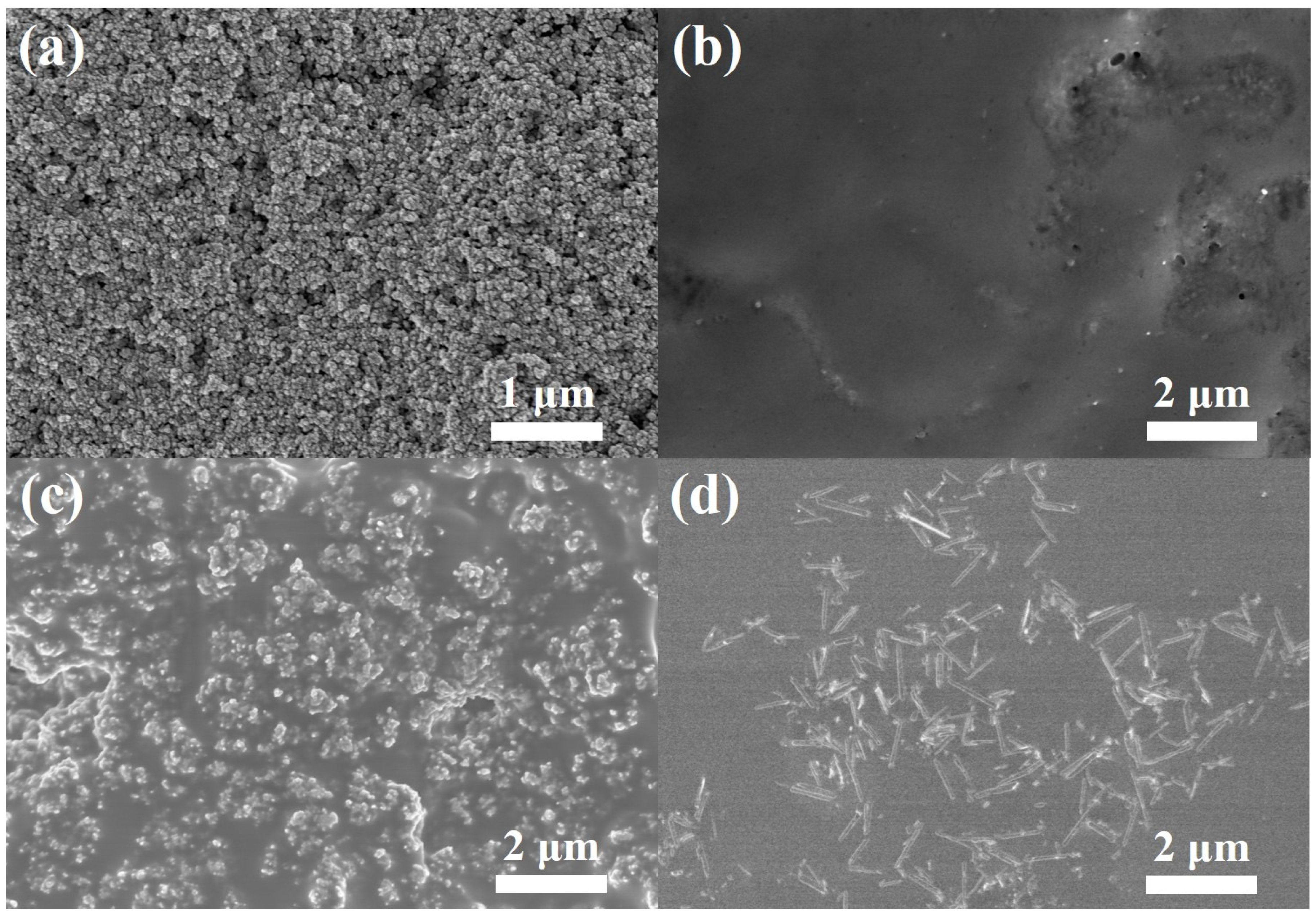 Nanomaterials 11 00913 g003
