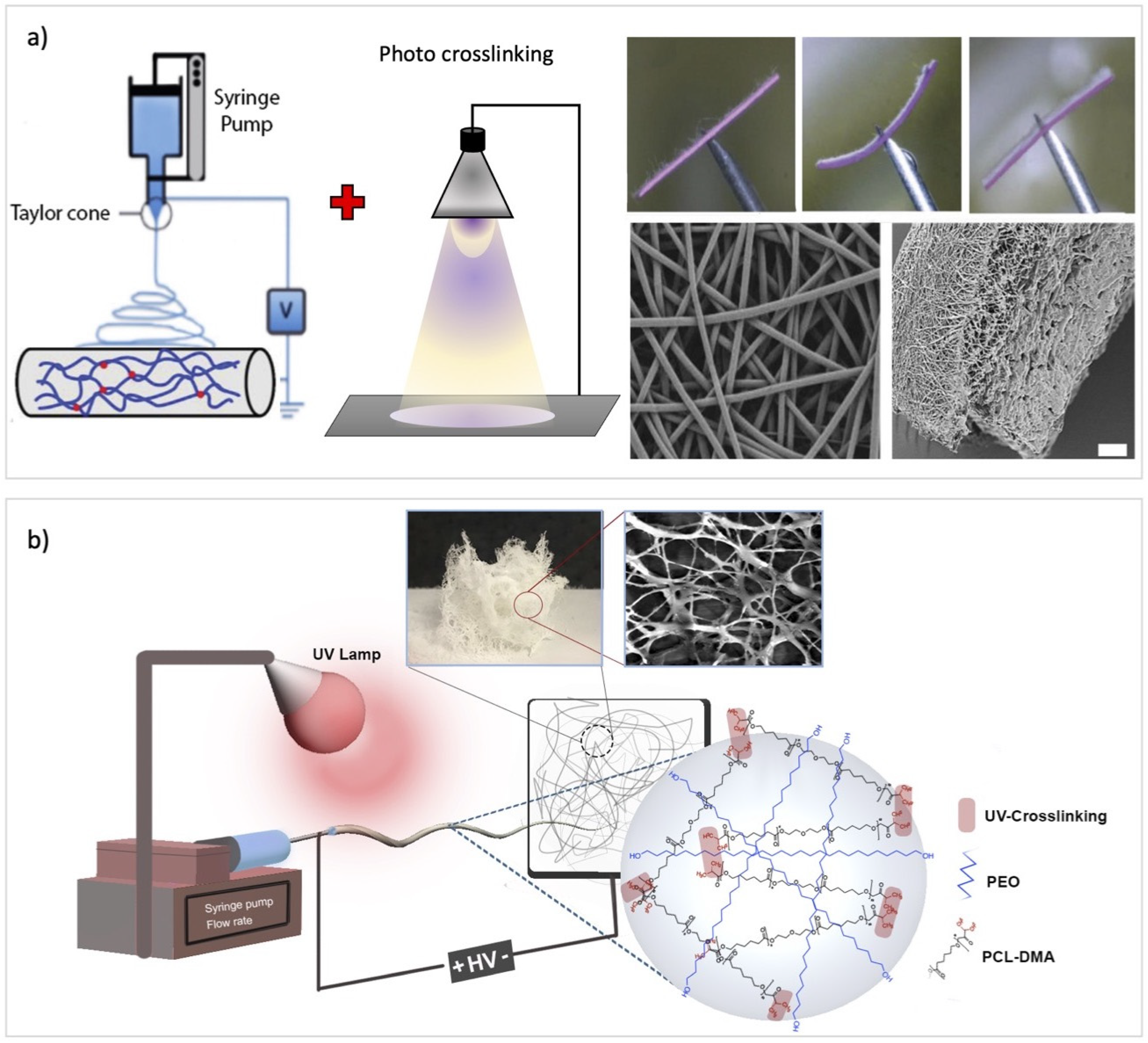 Nanomaterials 11 00933 g005