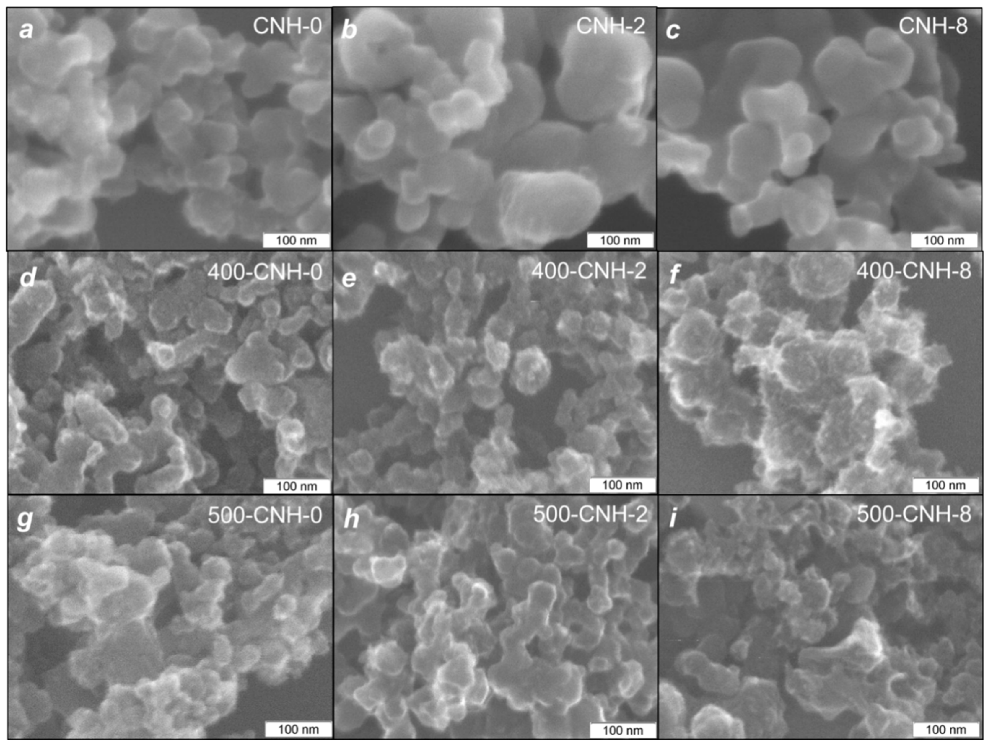 Nanomaterials Free Full Text Effect Of Toluene Addition In An Electric Arc On Morphology Surface Modification And Oxidation Behavior Of Carbon Nanohorns And Their Sedimentation In Water Html