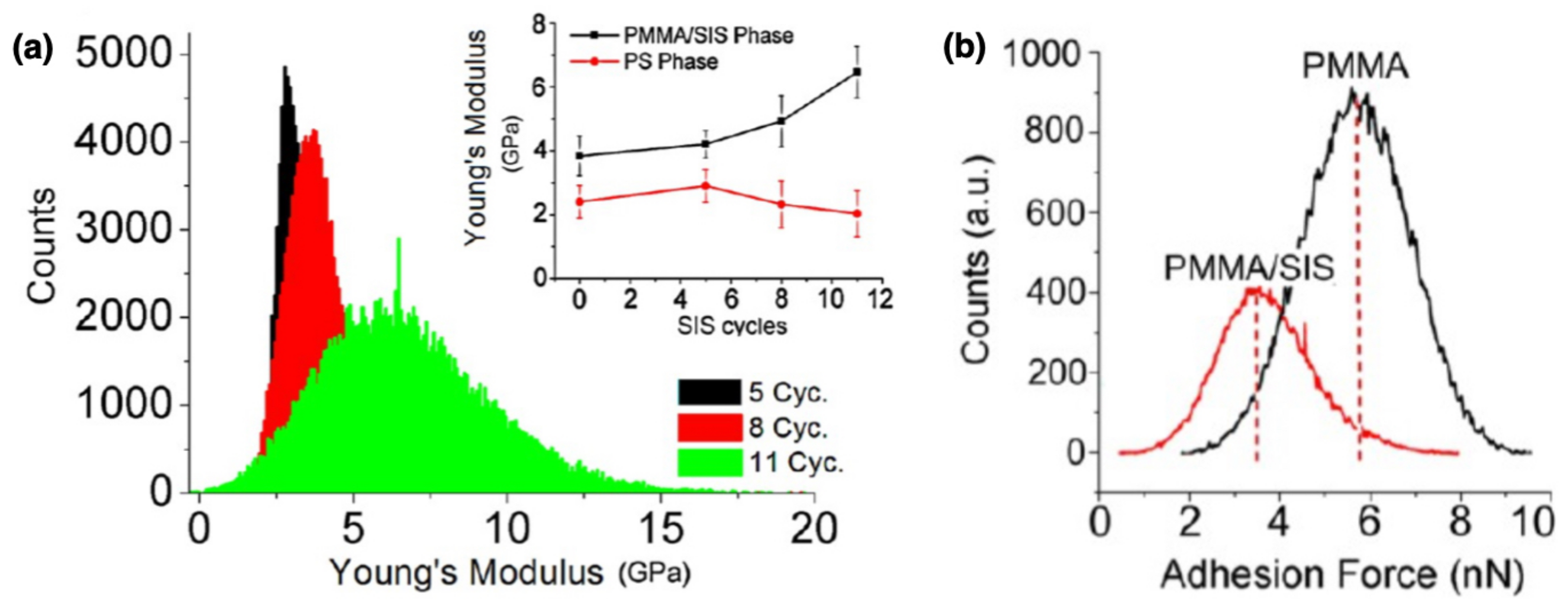 Nanomaterials 11 00994 g009