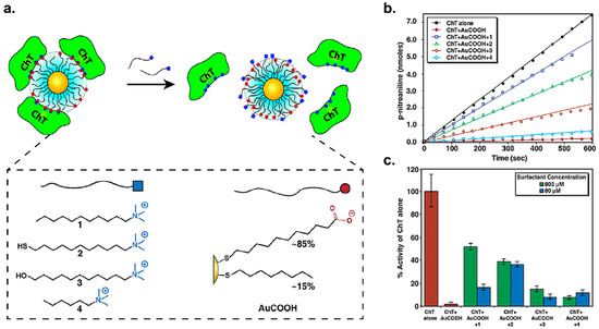 Nanomaterials Free Full Text Engineering The Interface Between Inorganic Nanoparticles And Biological Systems Through Ligand Design Html