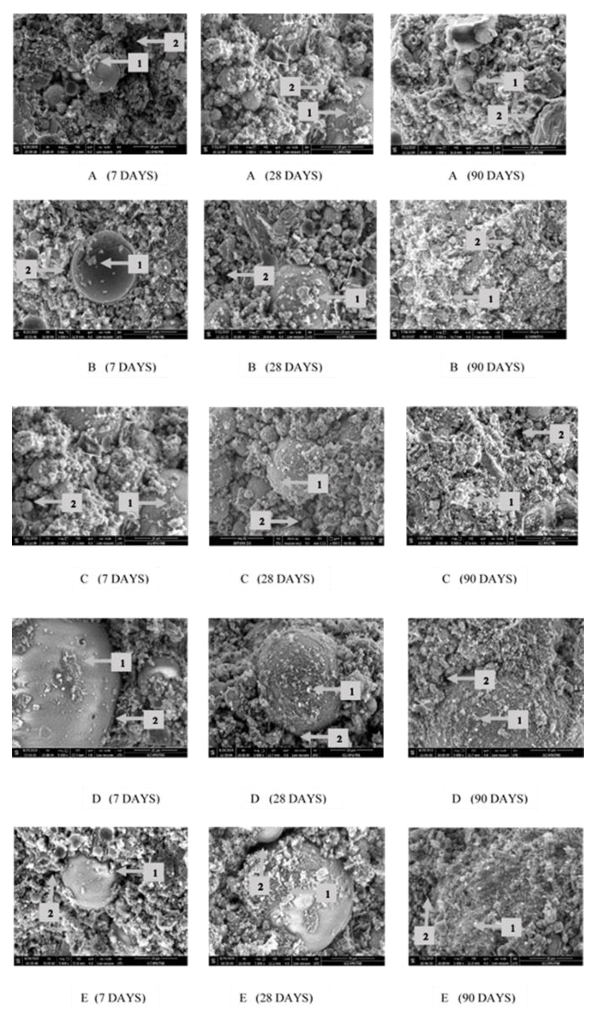 Nanomaterials 11 01003 g010 Nanomaterials 11 01003 g010