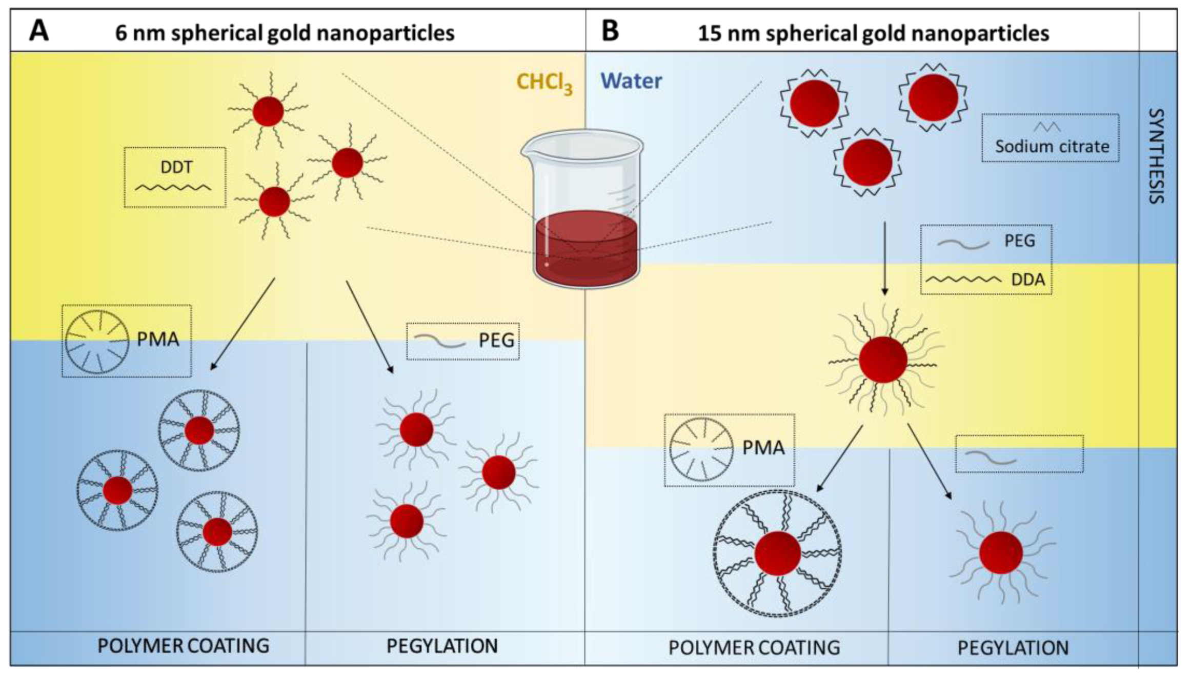 Nanomaterials | Free Full-Text | The Role of Polymeric Coatings for a  Safe-by-Design Development of Biomedical Gold Nanoparticles Assessed in  Zebrafish Embryo