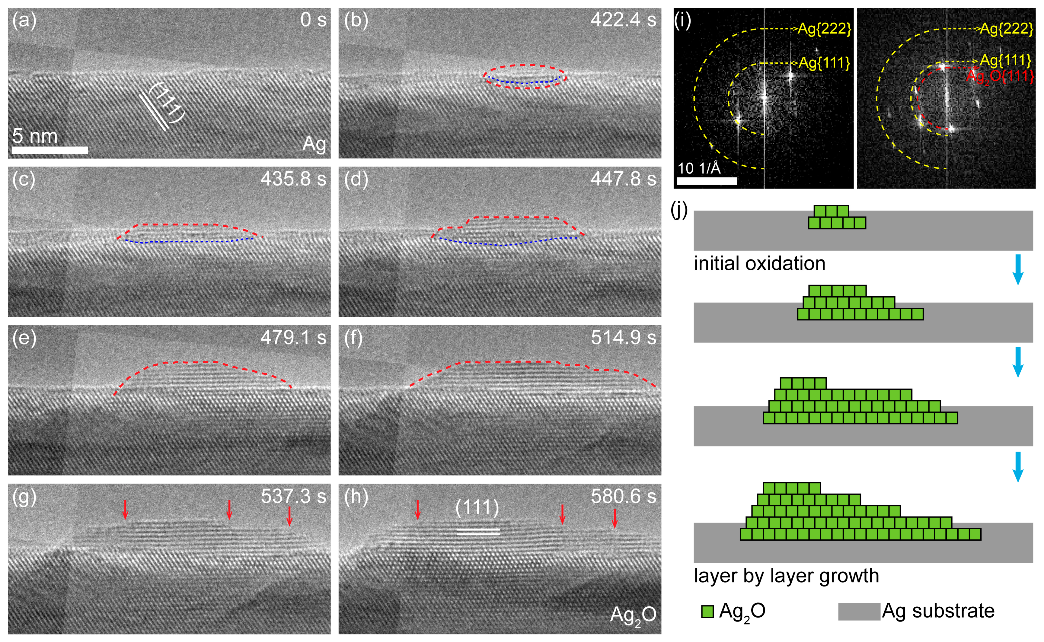 Nanomaterials 11 01021 g002